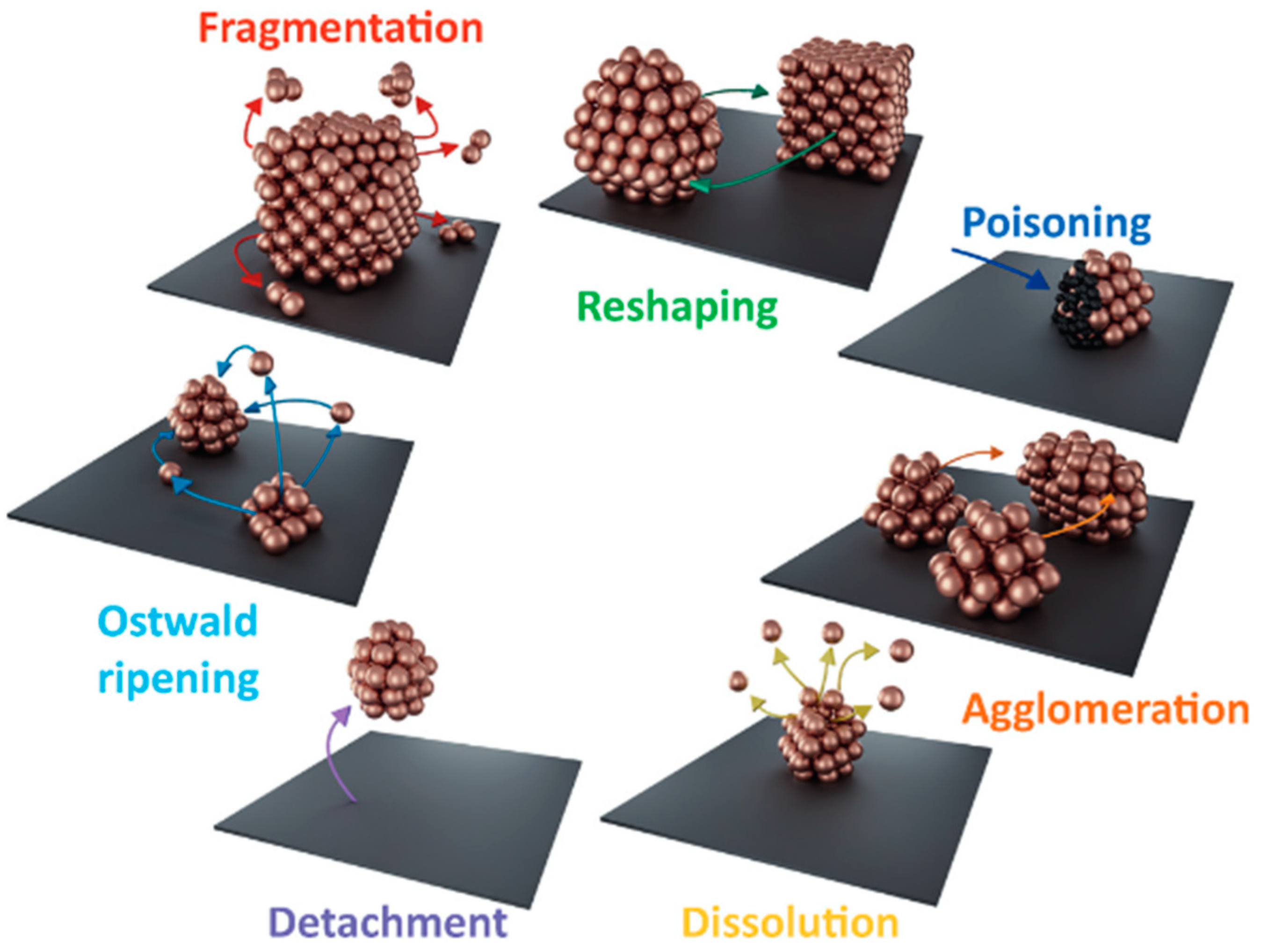 Catalysts 15 00237 g006