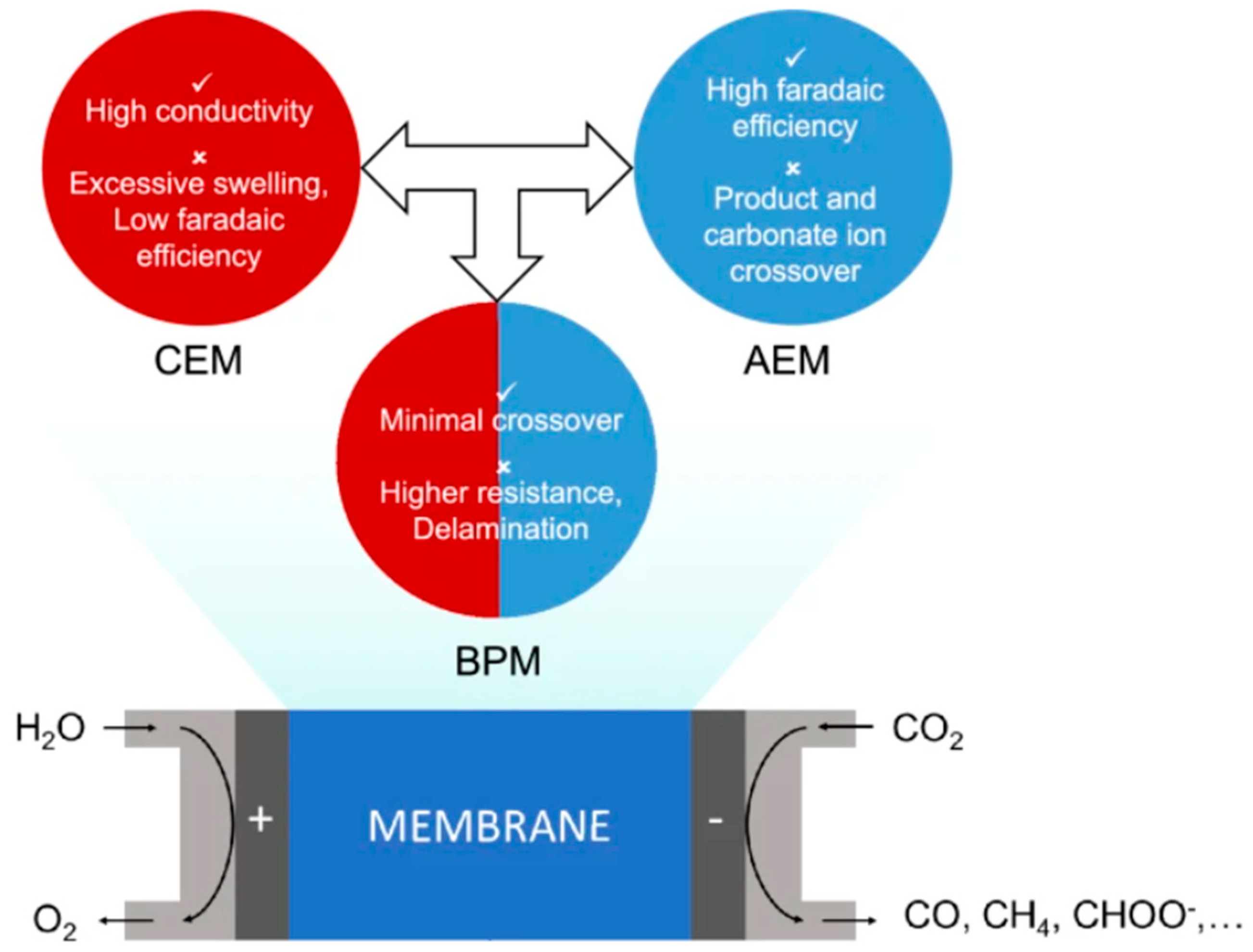 Catalysts 15 00237 g007