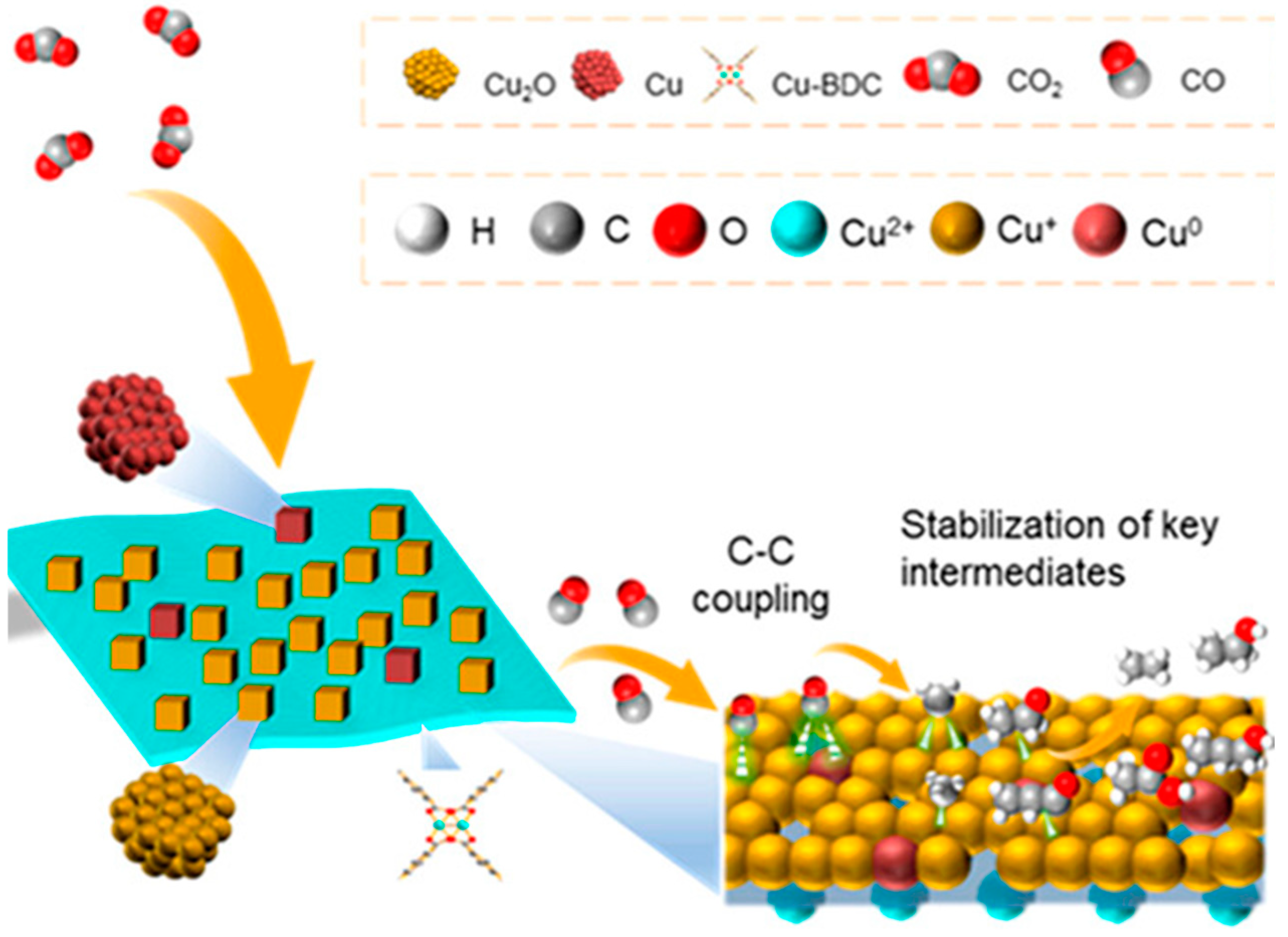 Catalysts 15 00237 g010