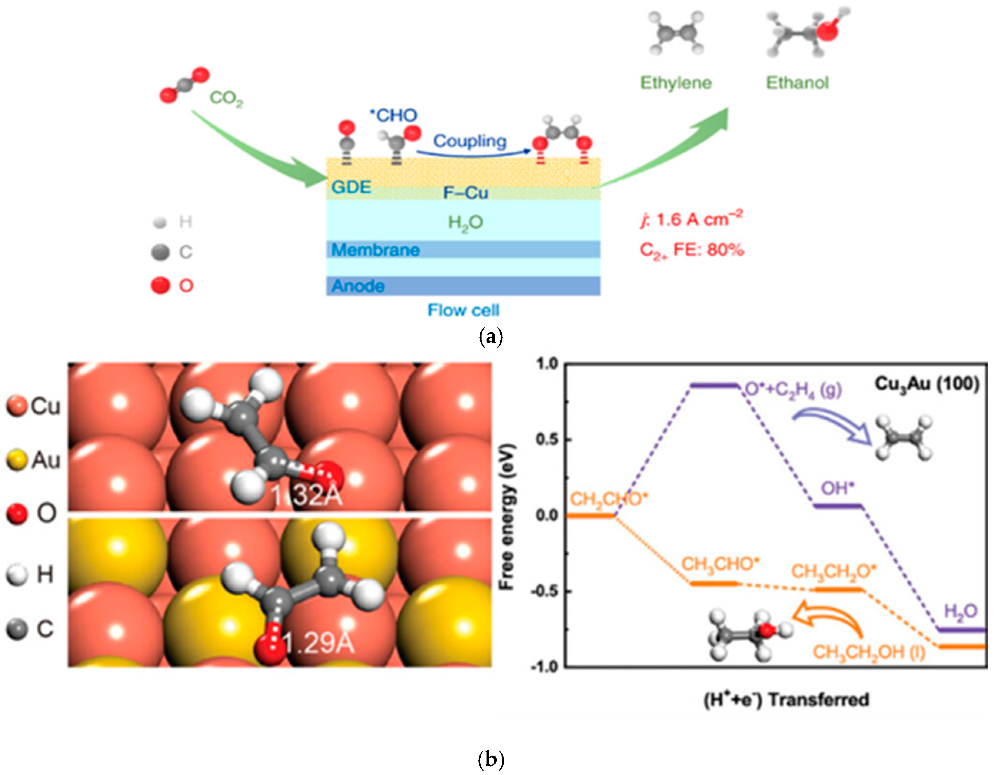 Catalysts 15 00237 g012