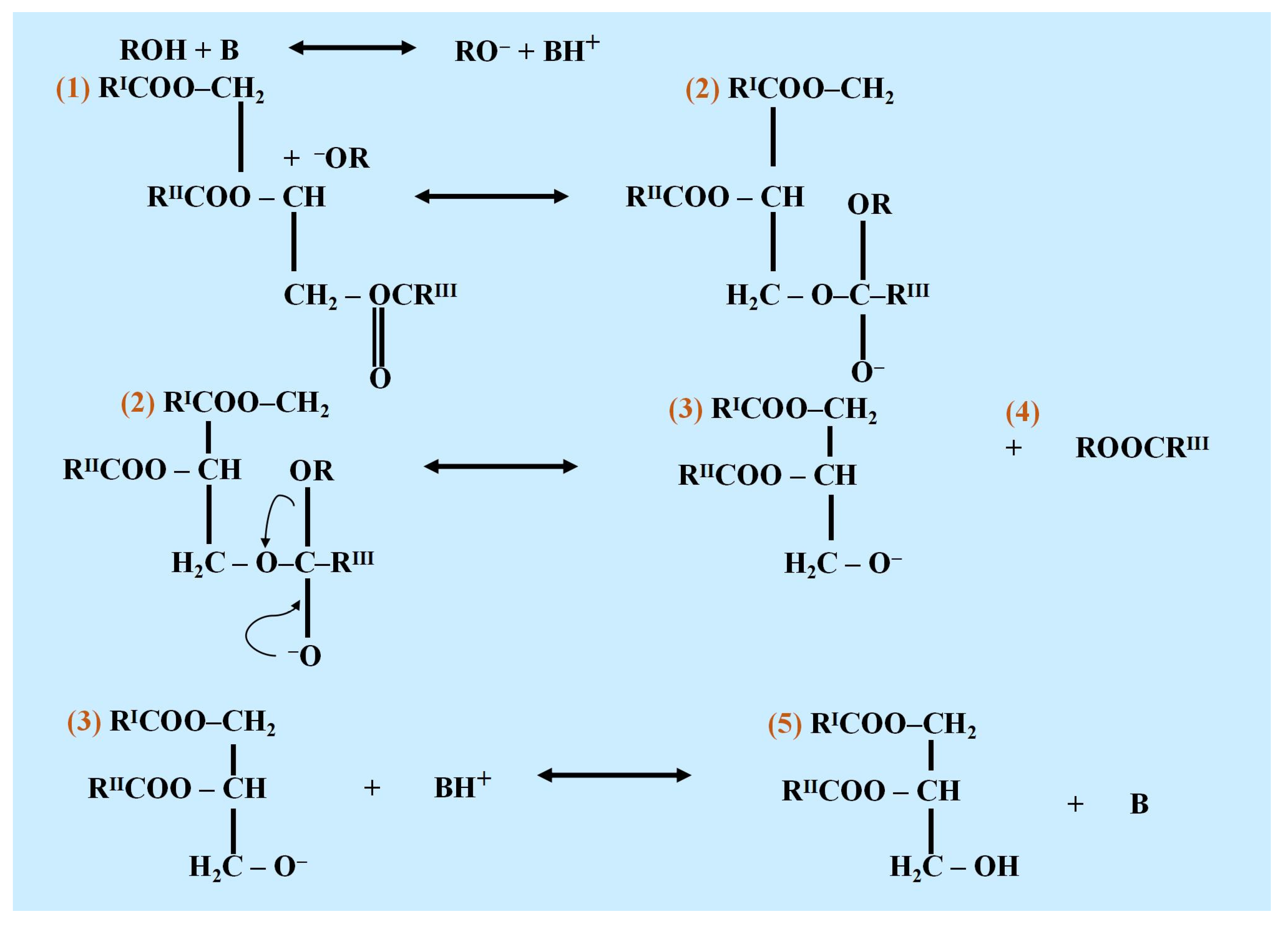 Catalysts 15 00239 g002