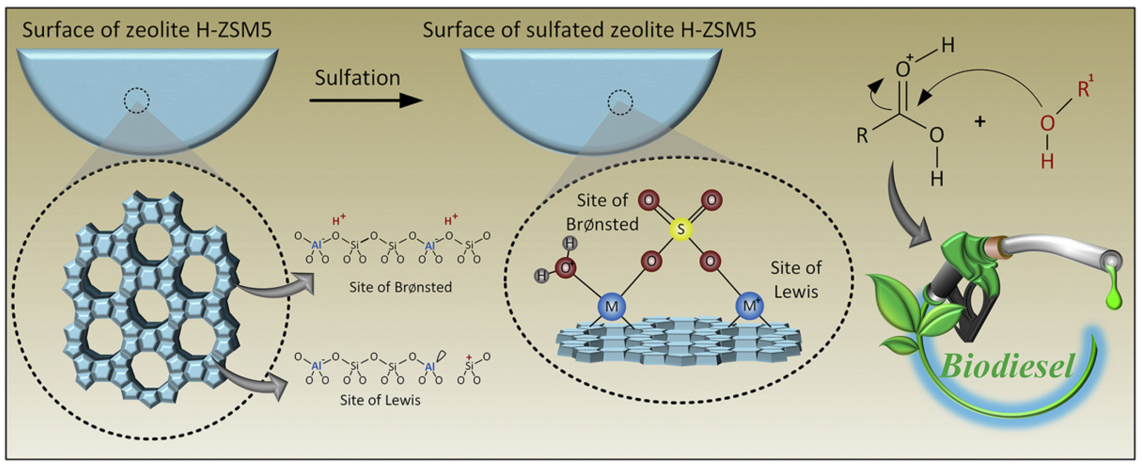 Catalysts 15 00239 g003