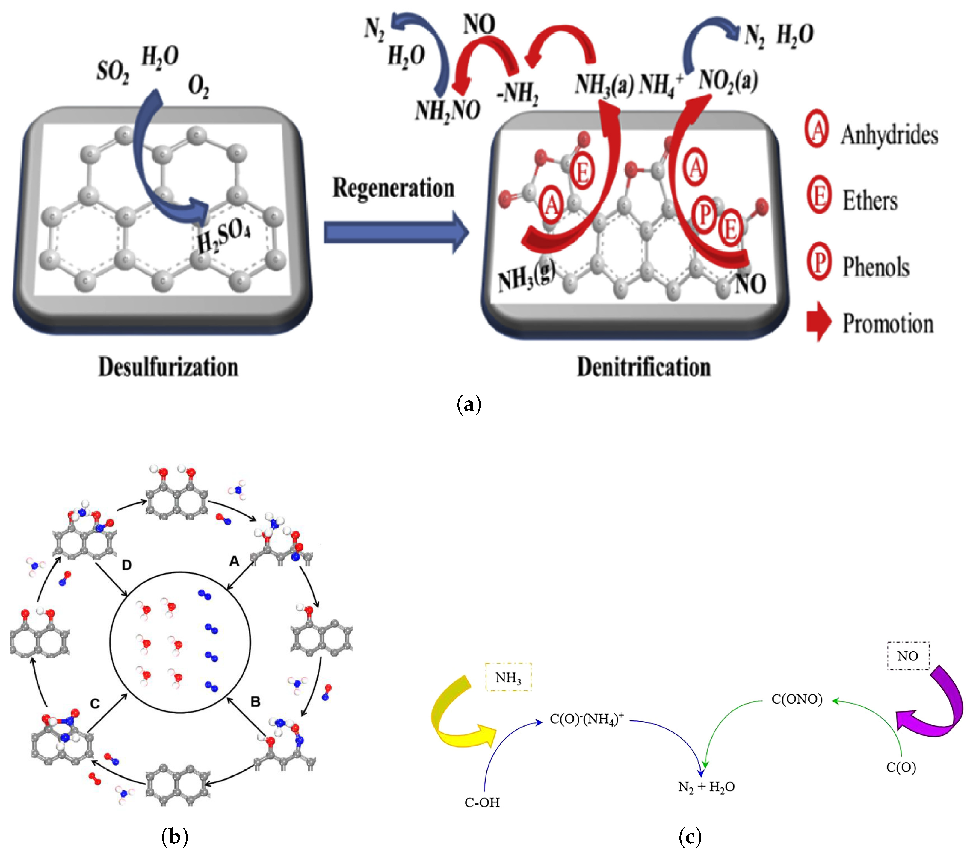 Catalysts 15 00240 g006