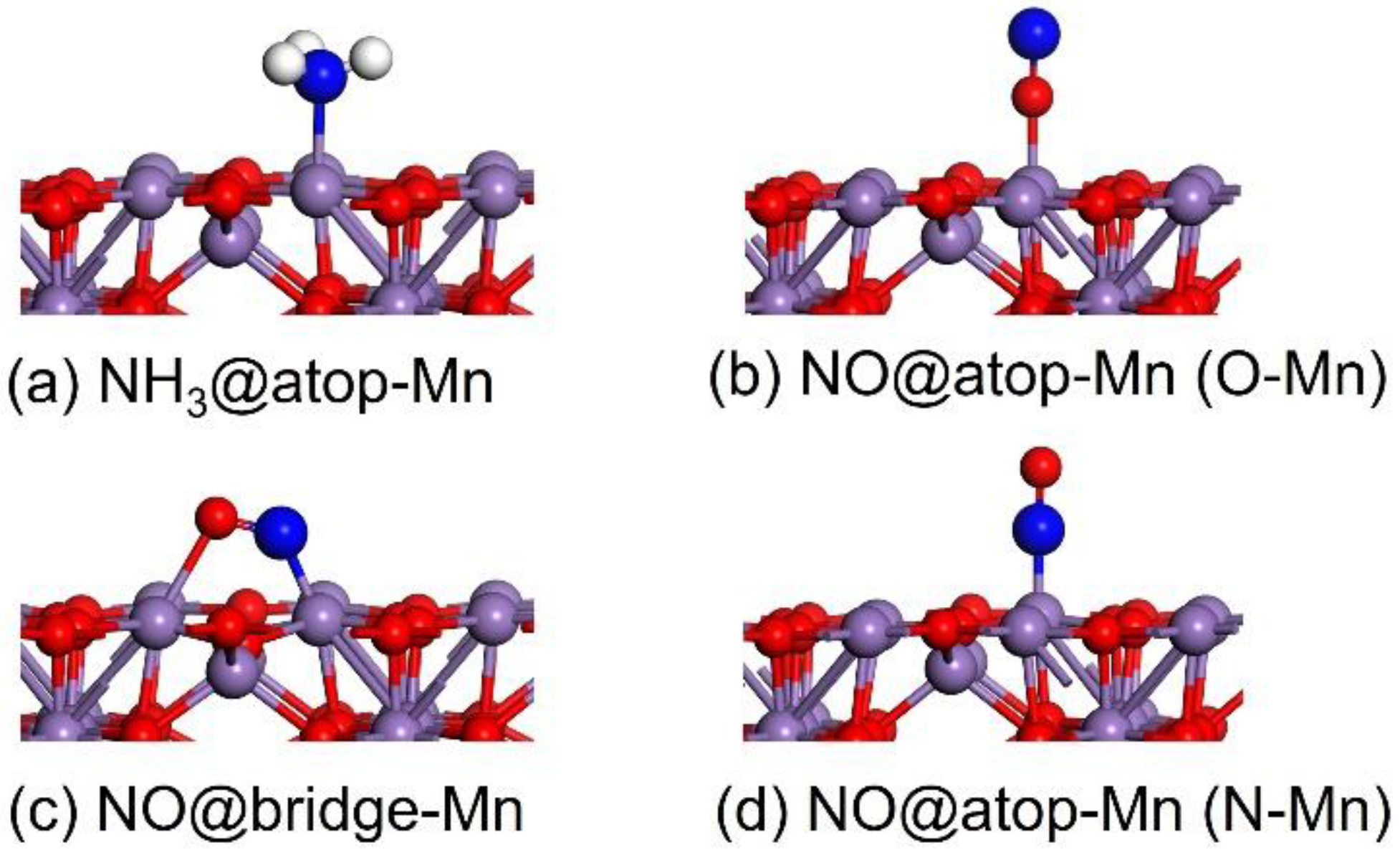 Catalysts 15 00241 g001