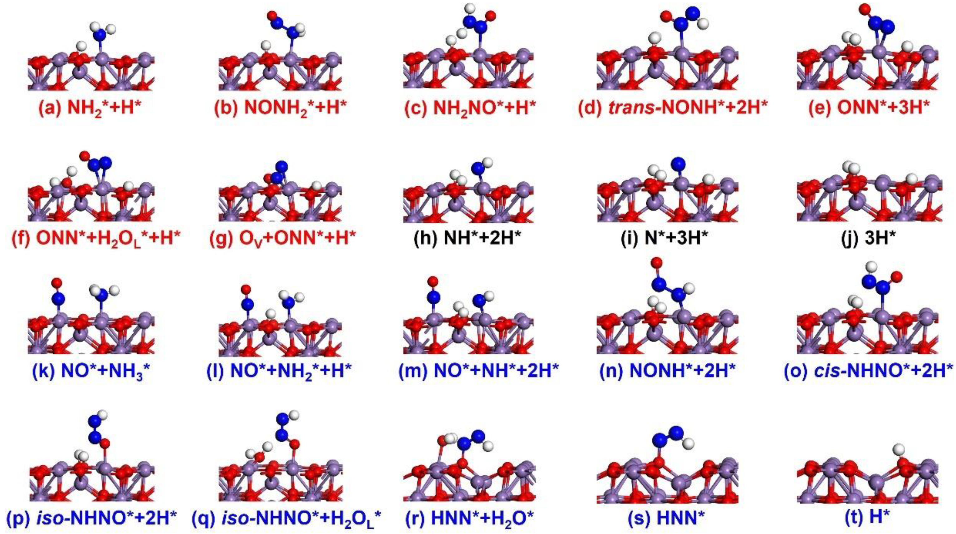 Catalysts 15 00241 g003