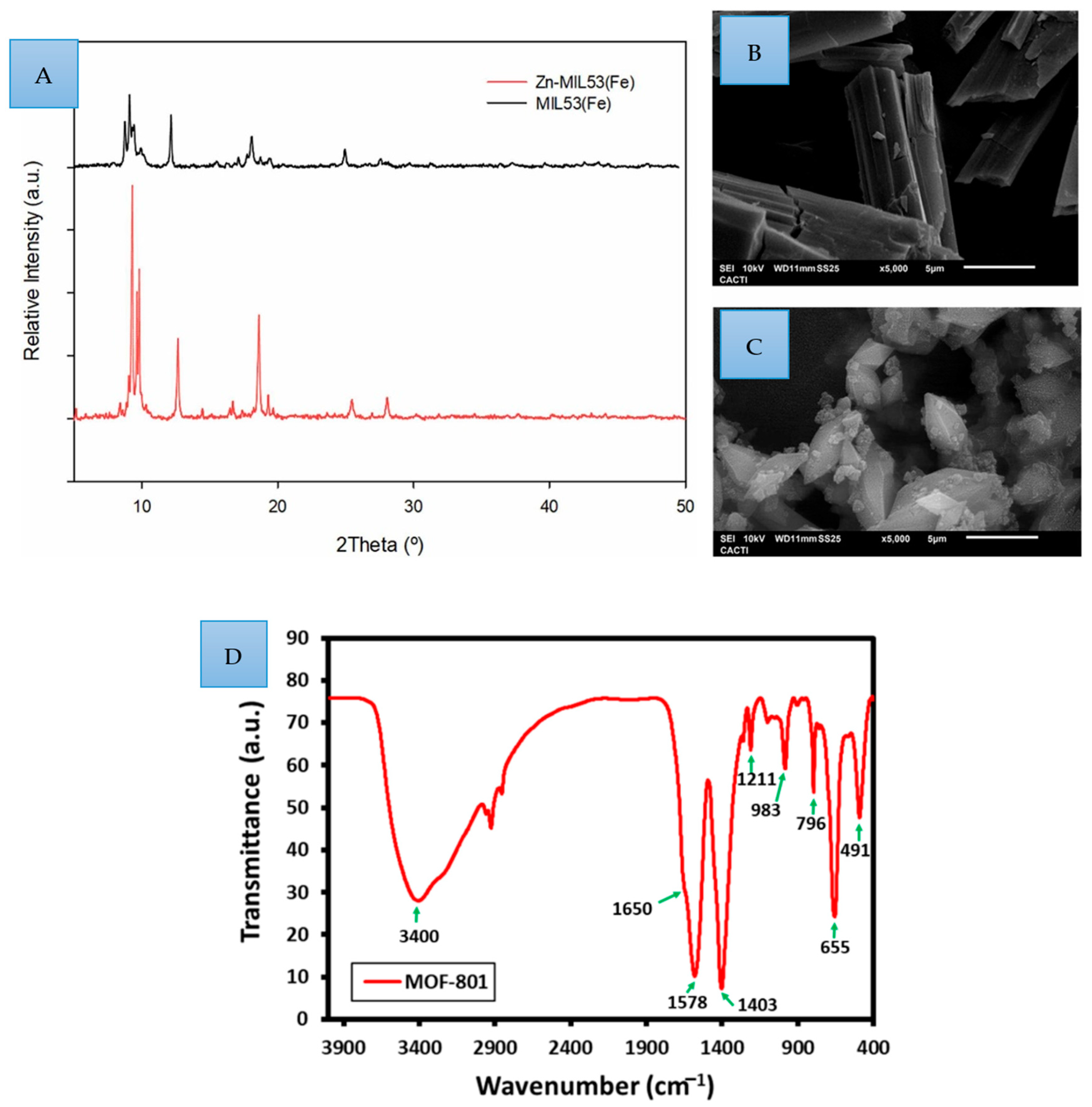 Catalysts 15 00244 g002