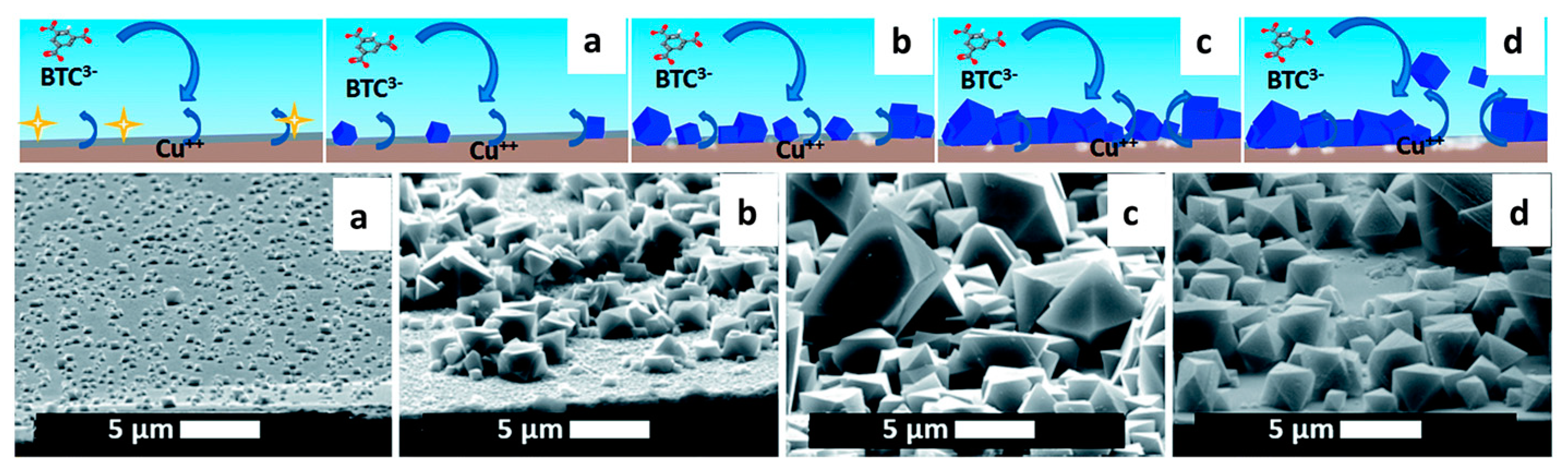 Catalysts 15 00244 g004