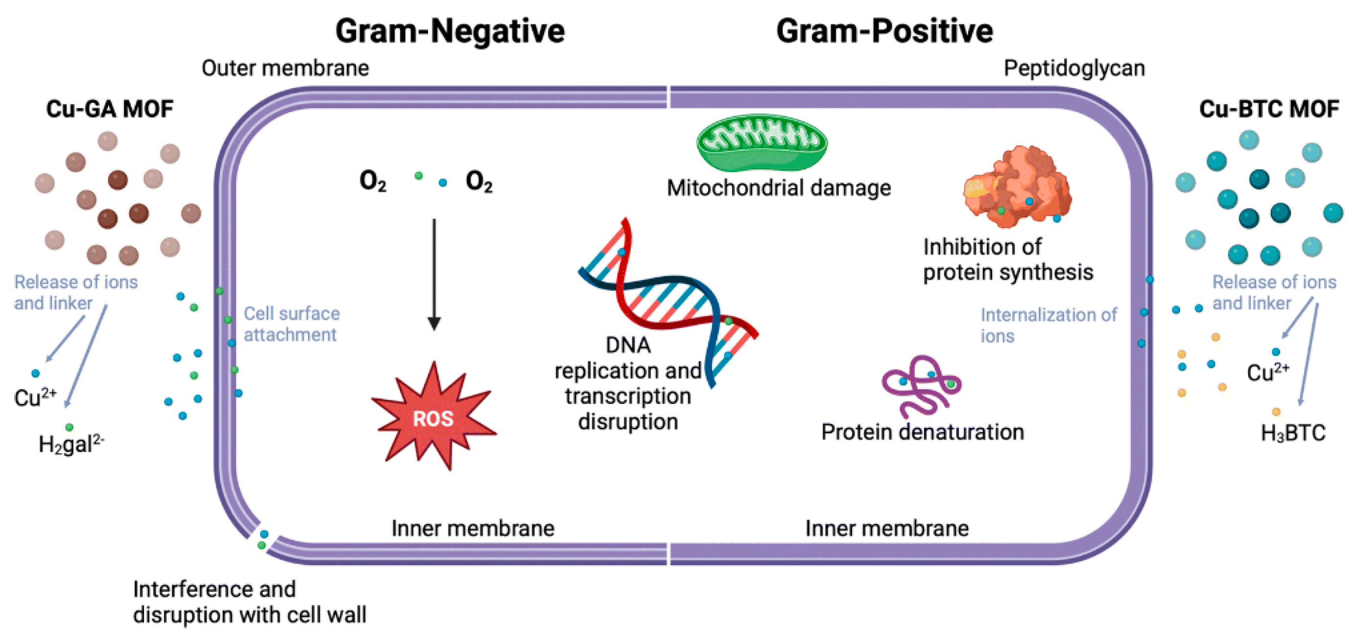 Catalysts 15 00244 g012