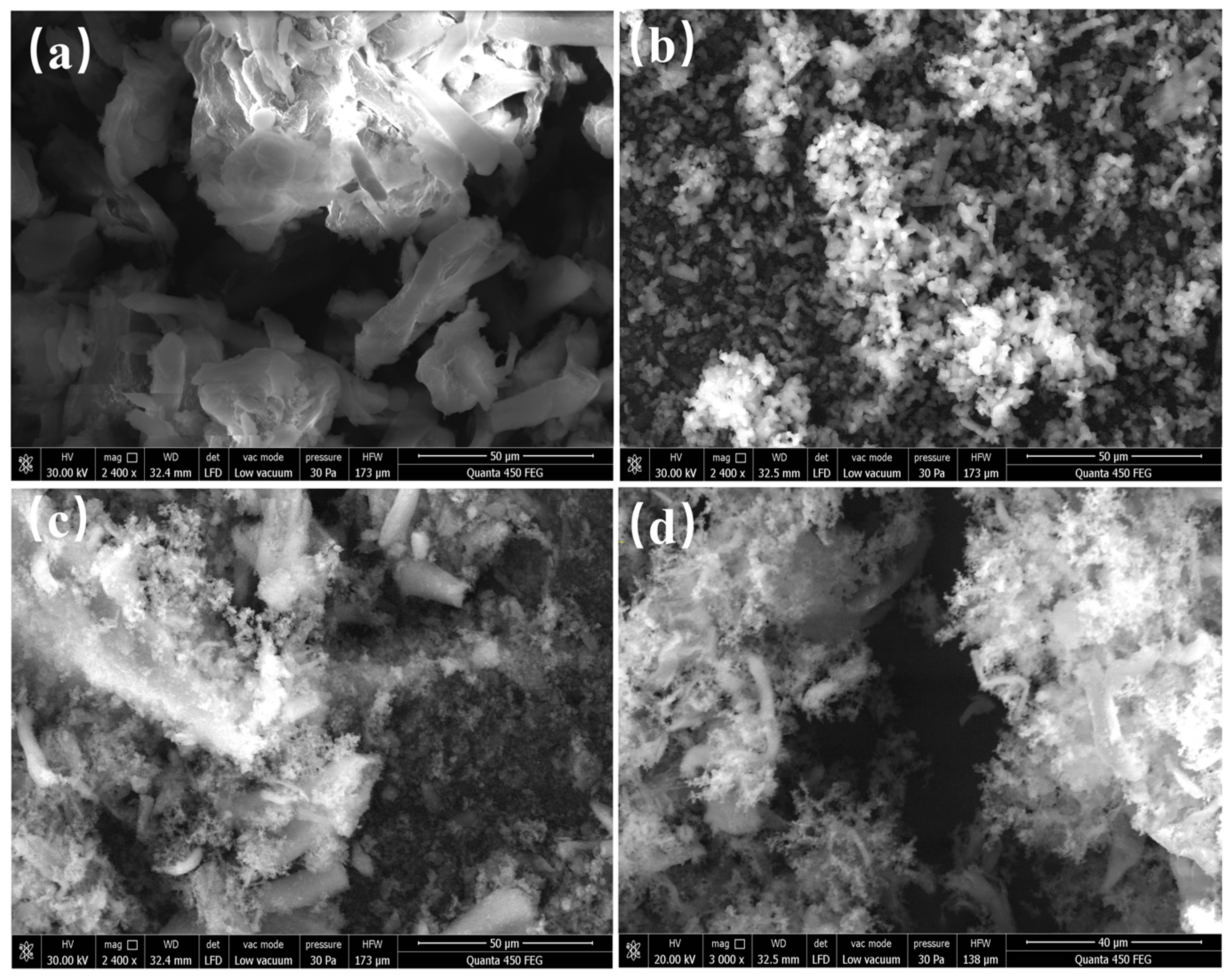Catalysts 15 00245 g002