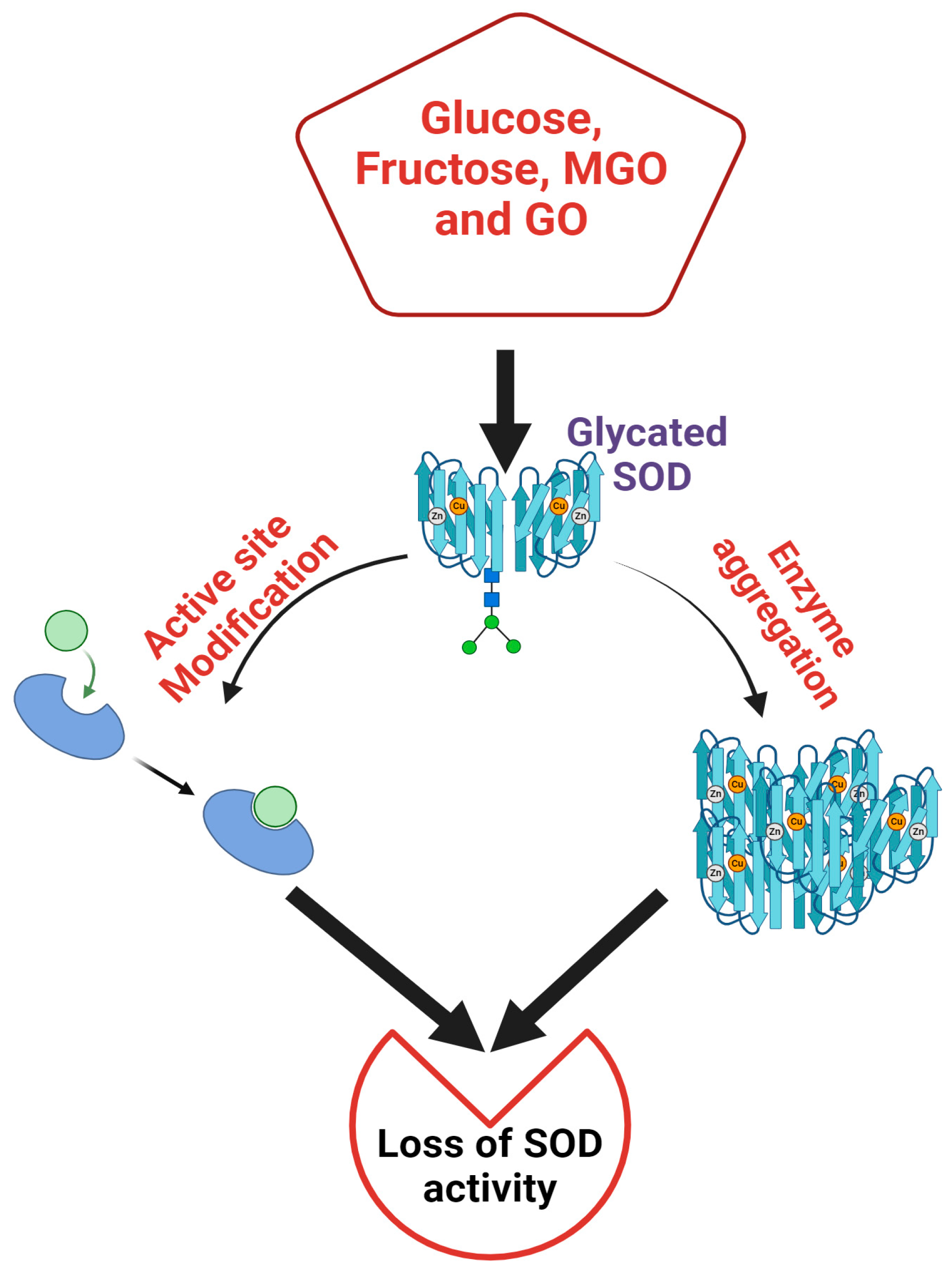 Catalysts 15 00247 g001