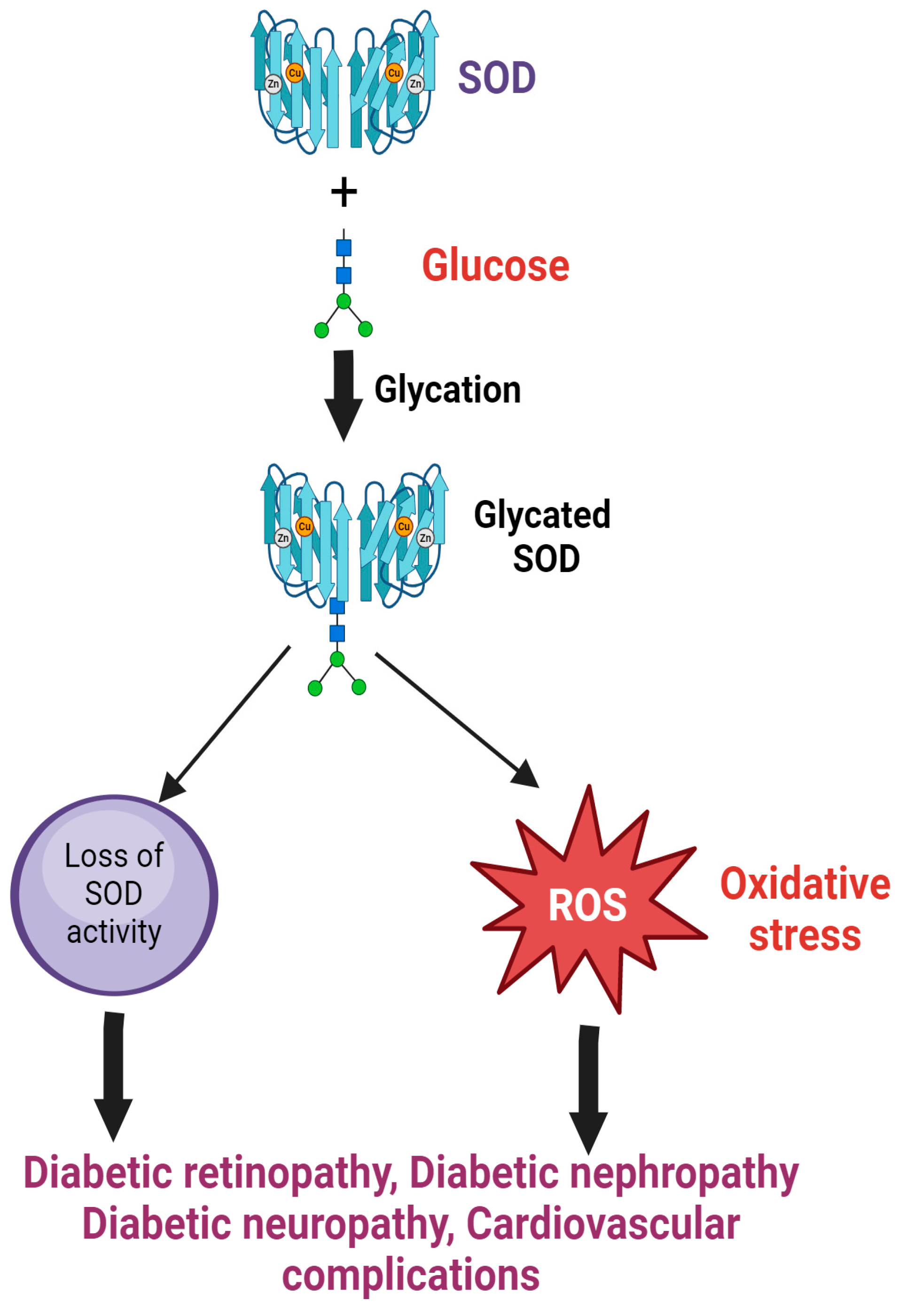 Catalysts 15 00247 g002