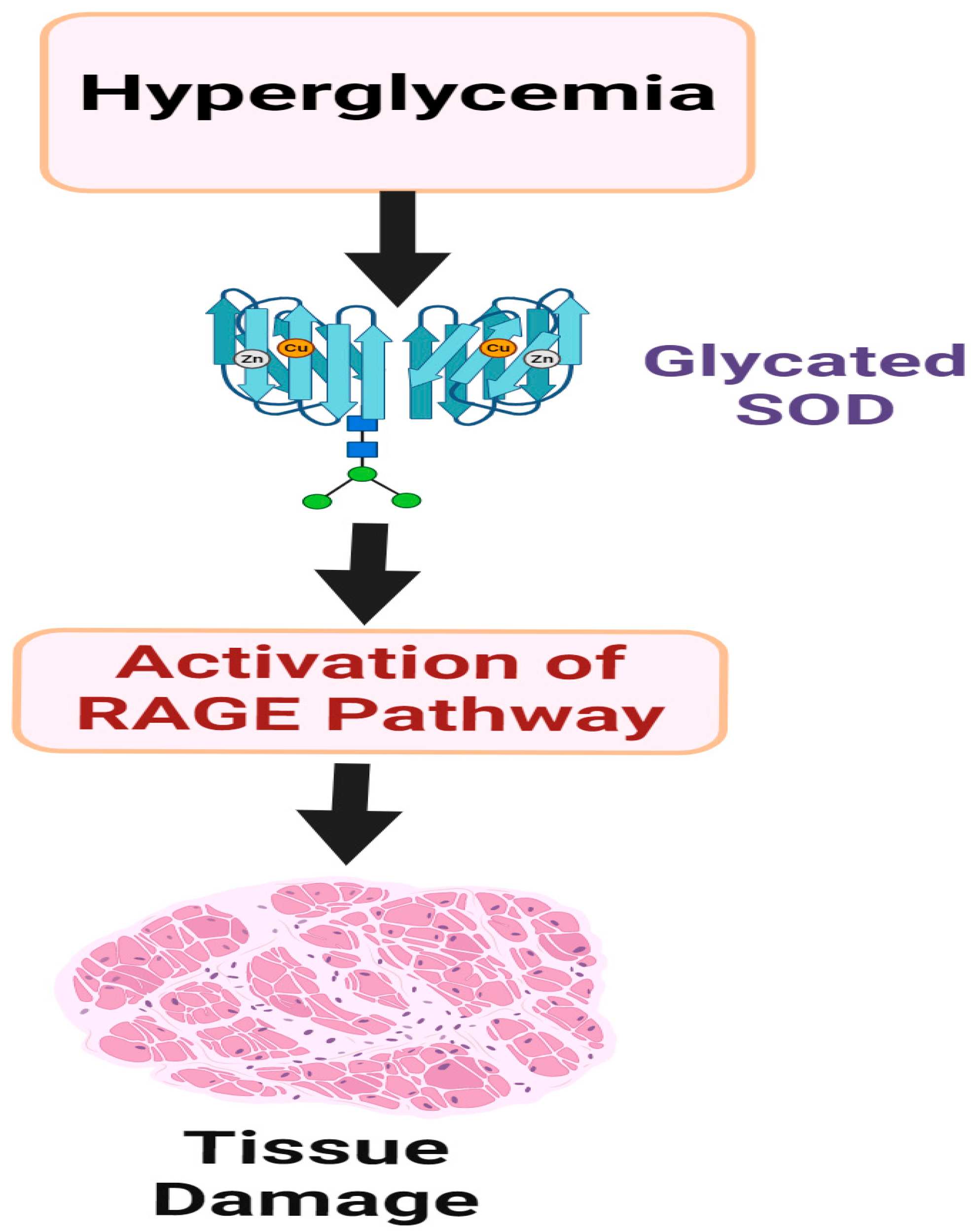 Catalysts 15 00247 g003