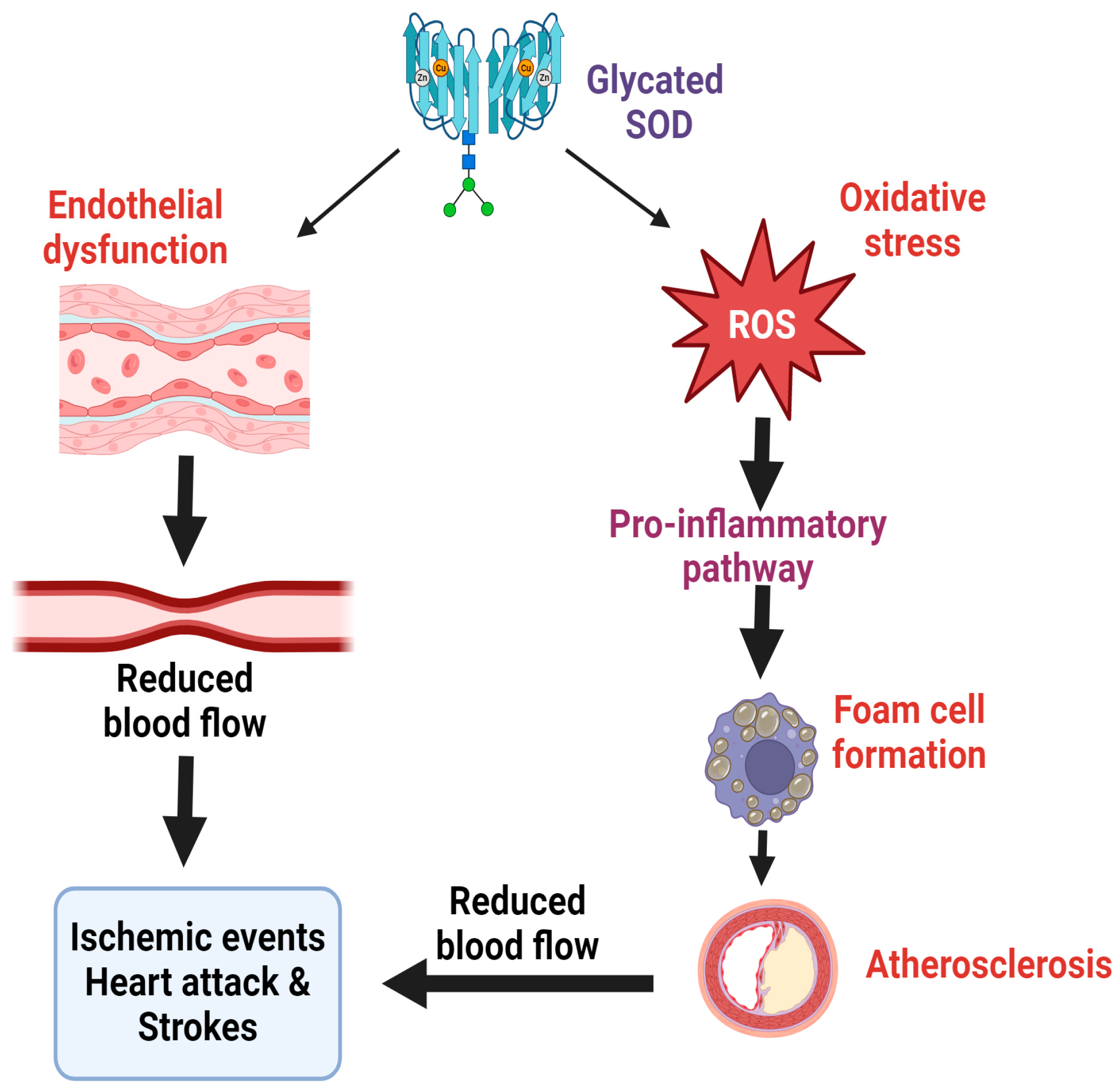 Catalysts 15 00247 g004