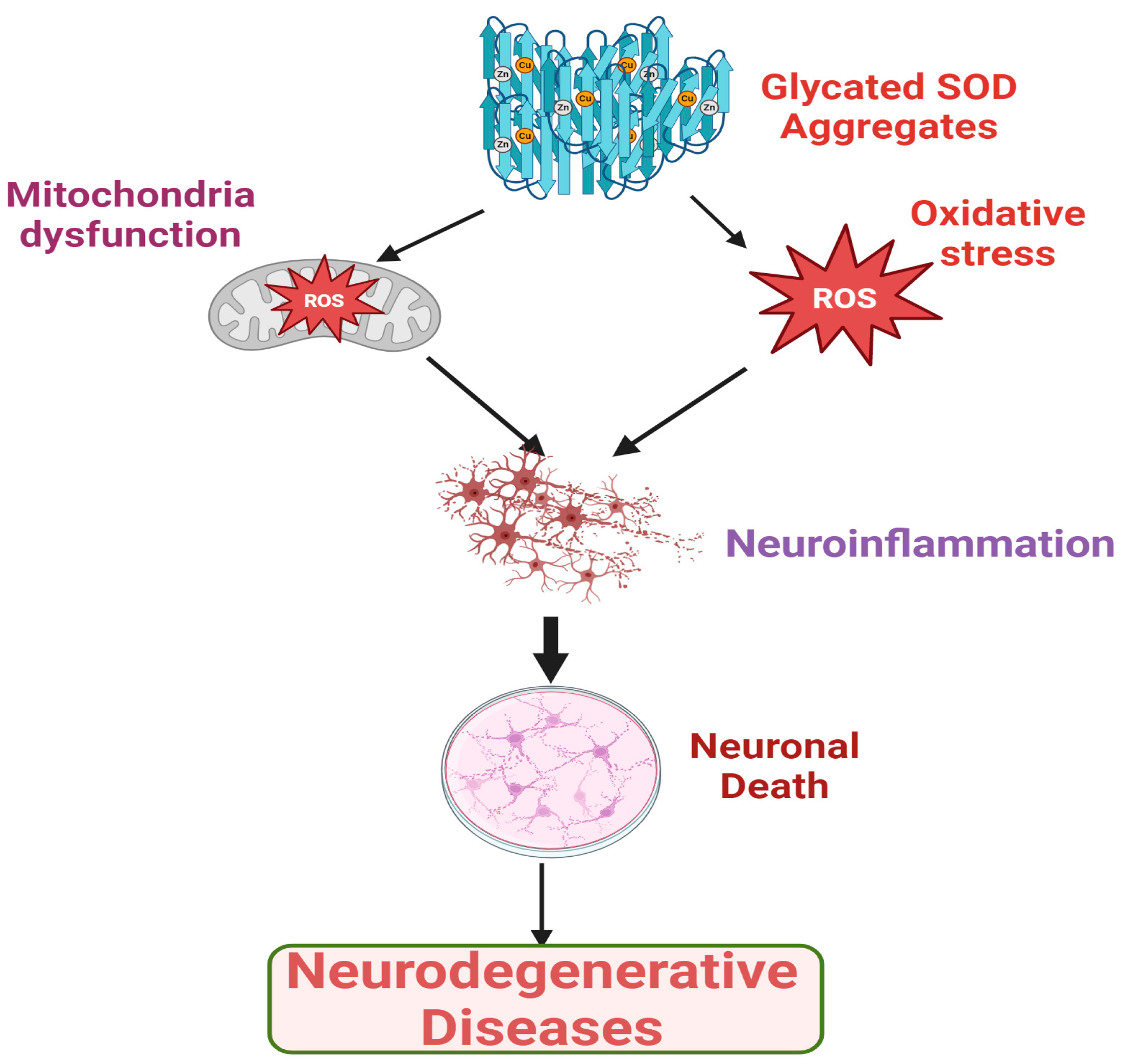 Catalysts 15 00247 g005