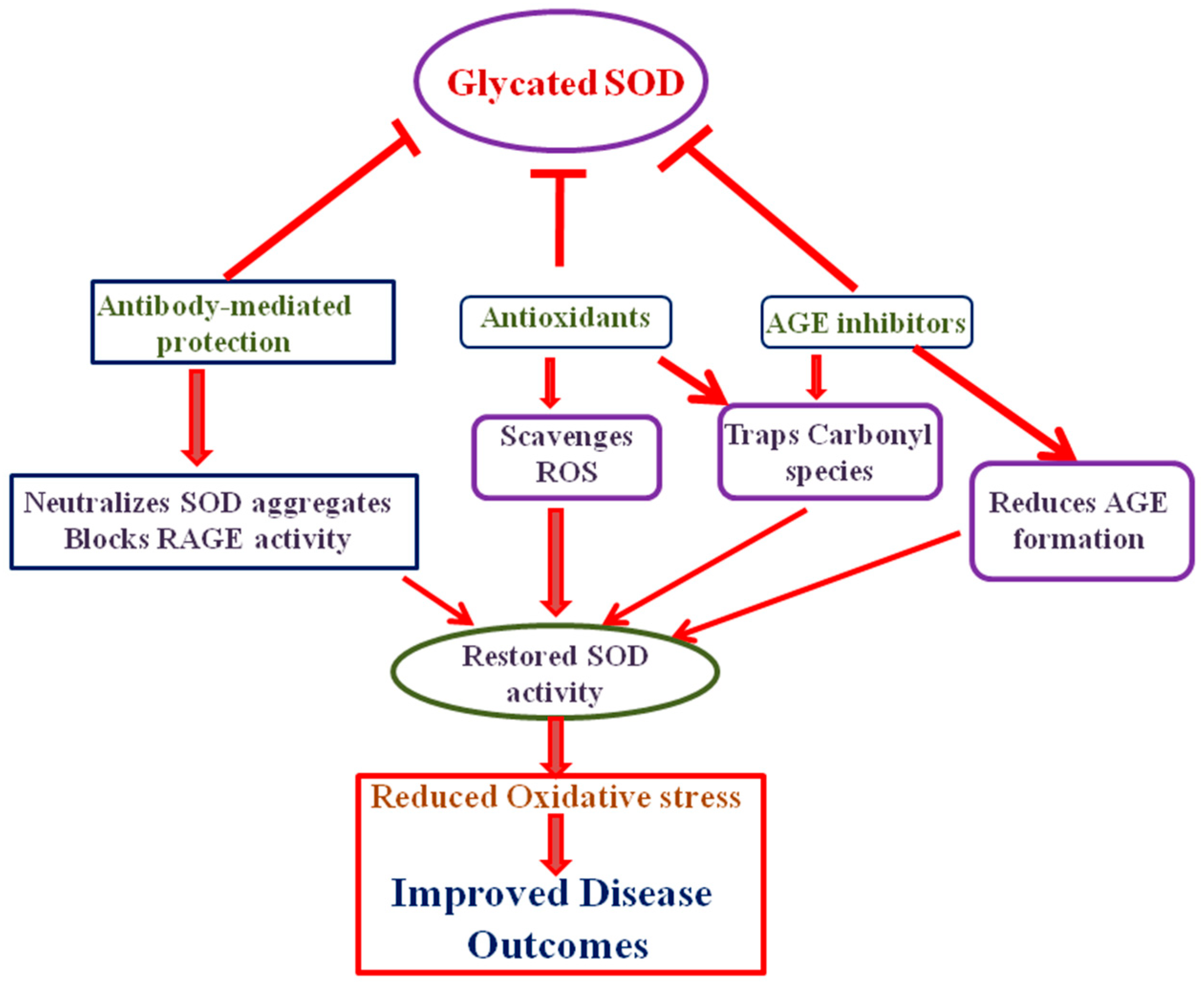 Catalysts 15 00247 g006