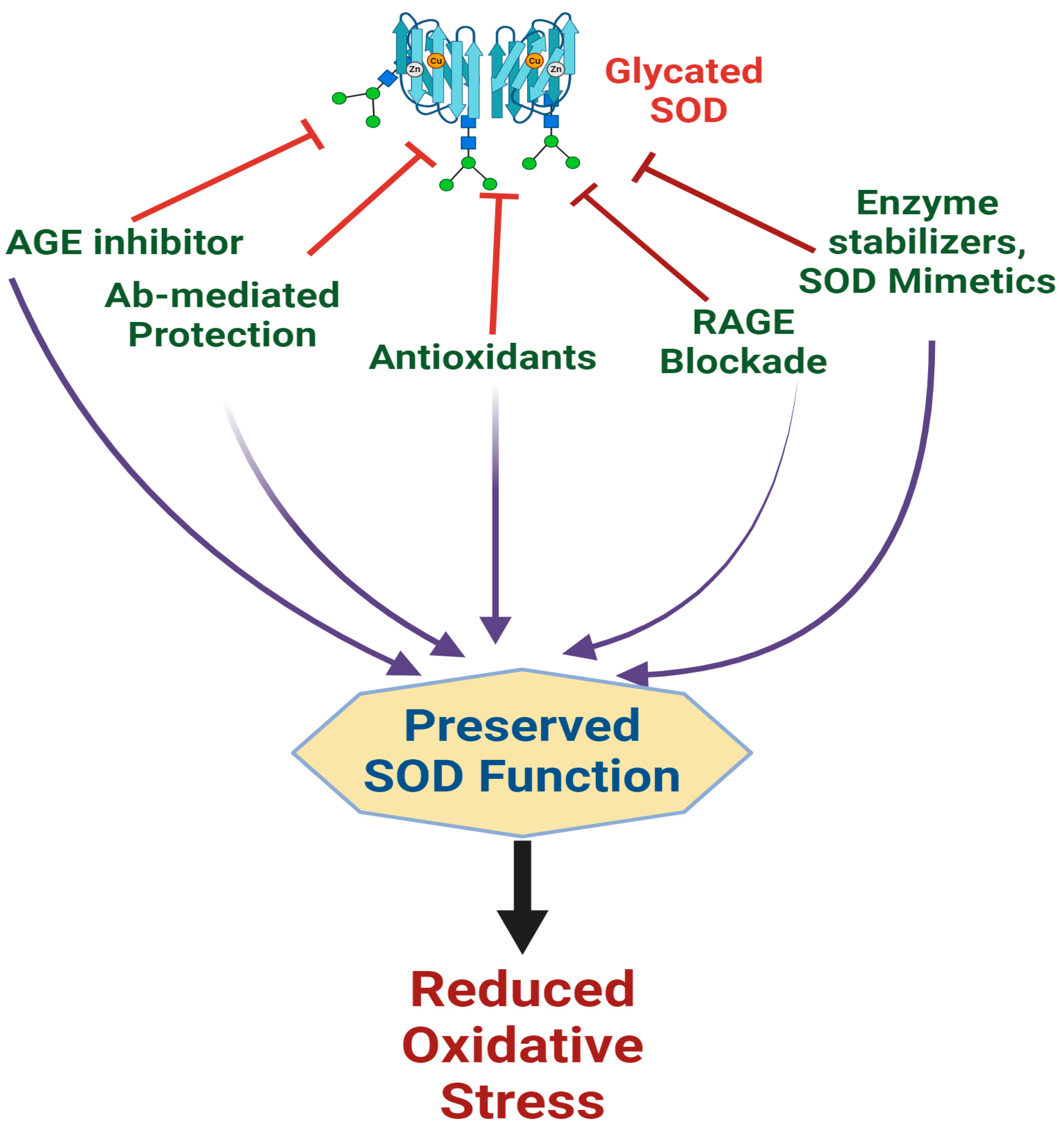 Catalysts 15 00247 g007