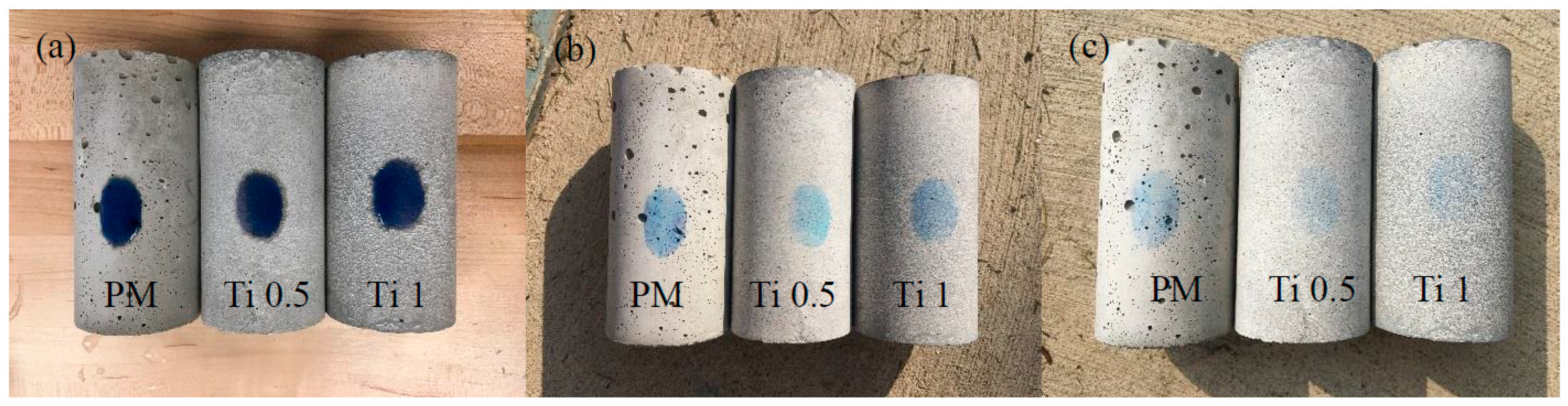 Catalysts 15 00249 g006