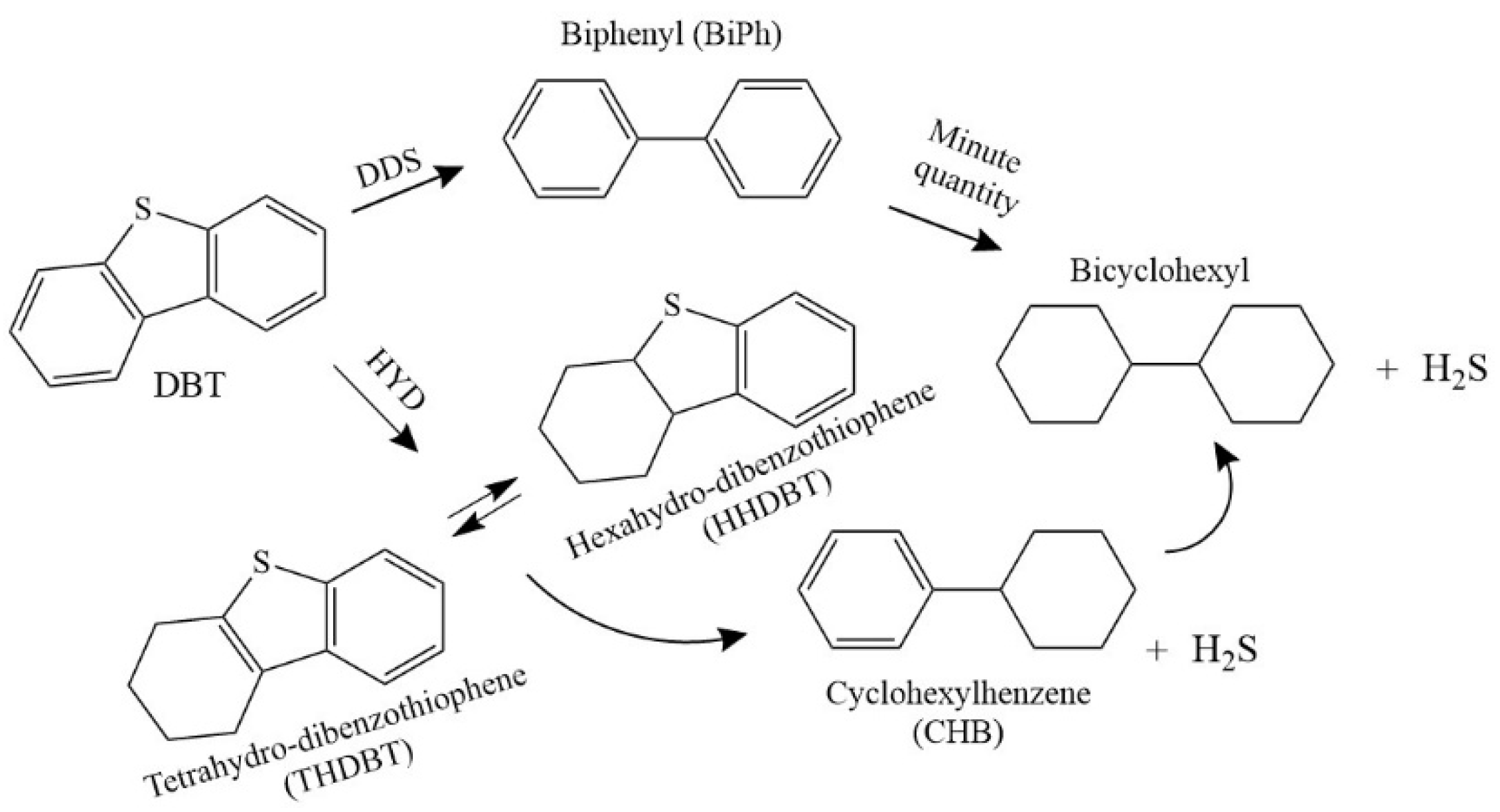Catalysts 15 00251 g004