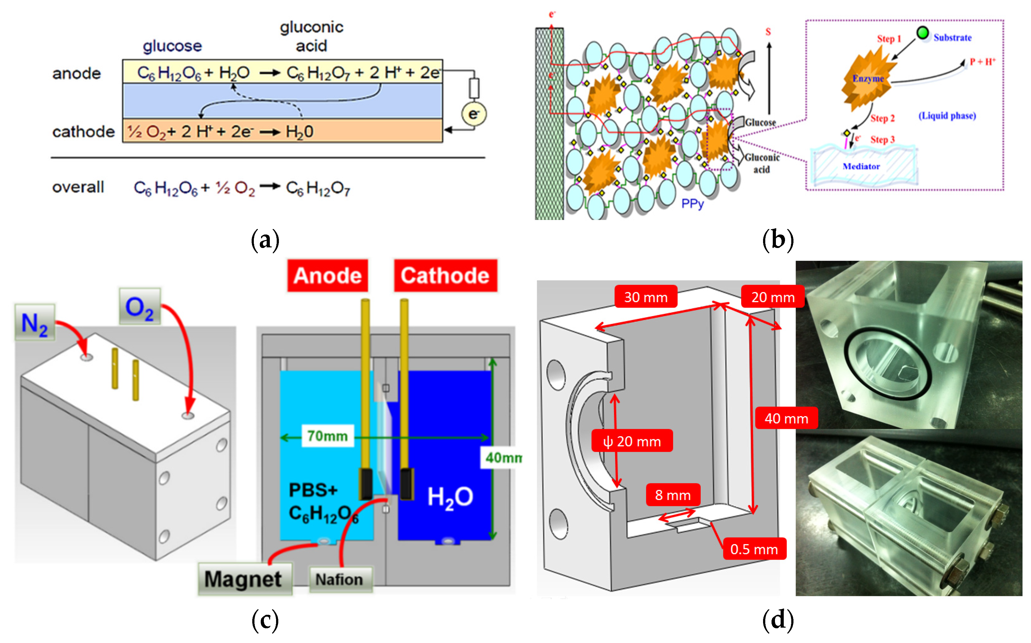 Catalysts 15 00253 g008
