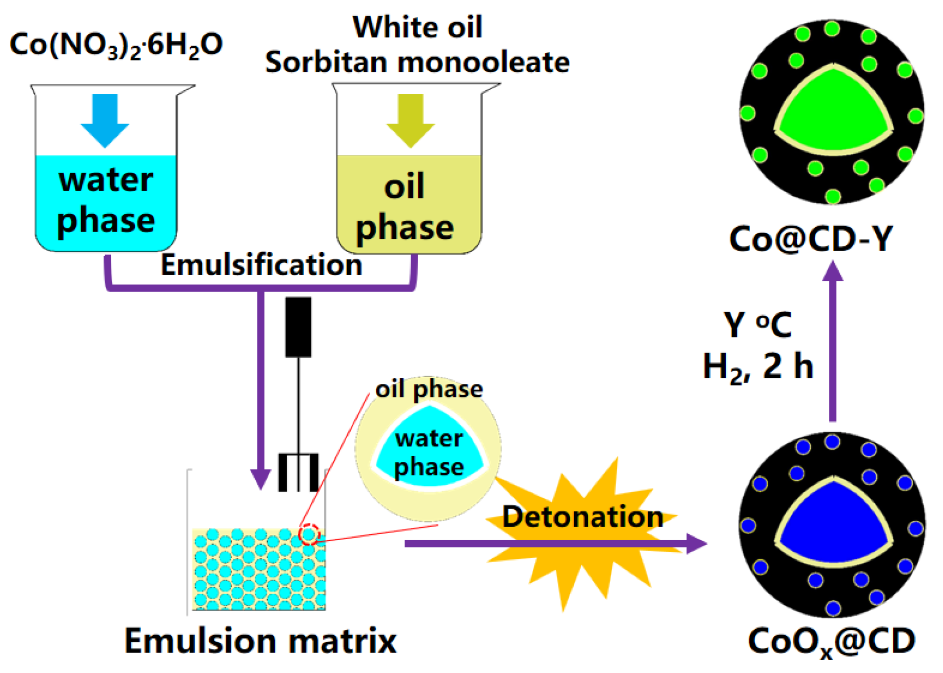 Catalysts 15 00254 g005