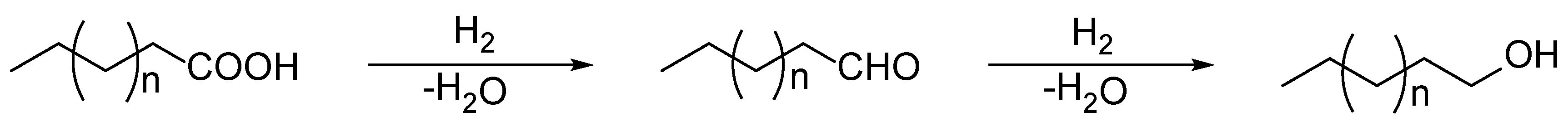 Catalysts 15 00254 sch001