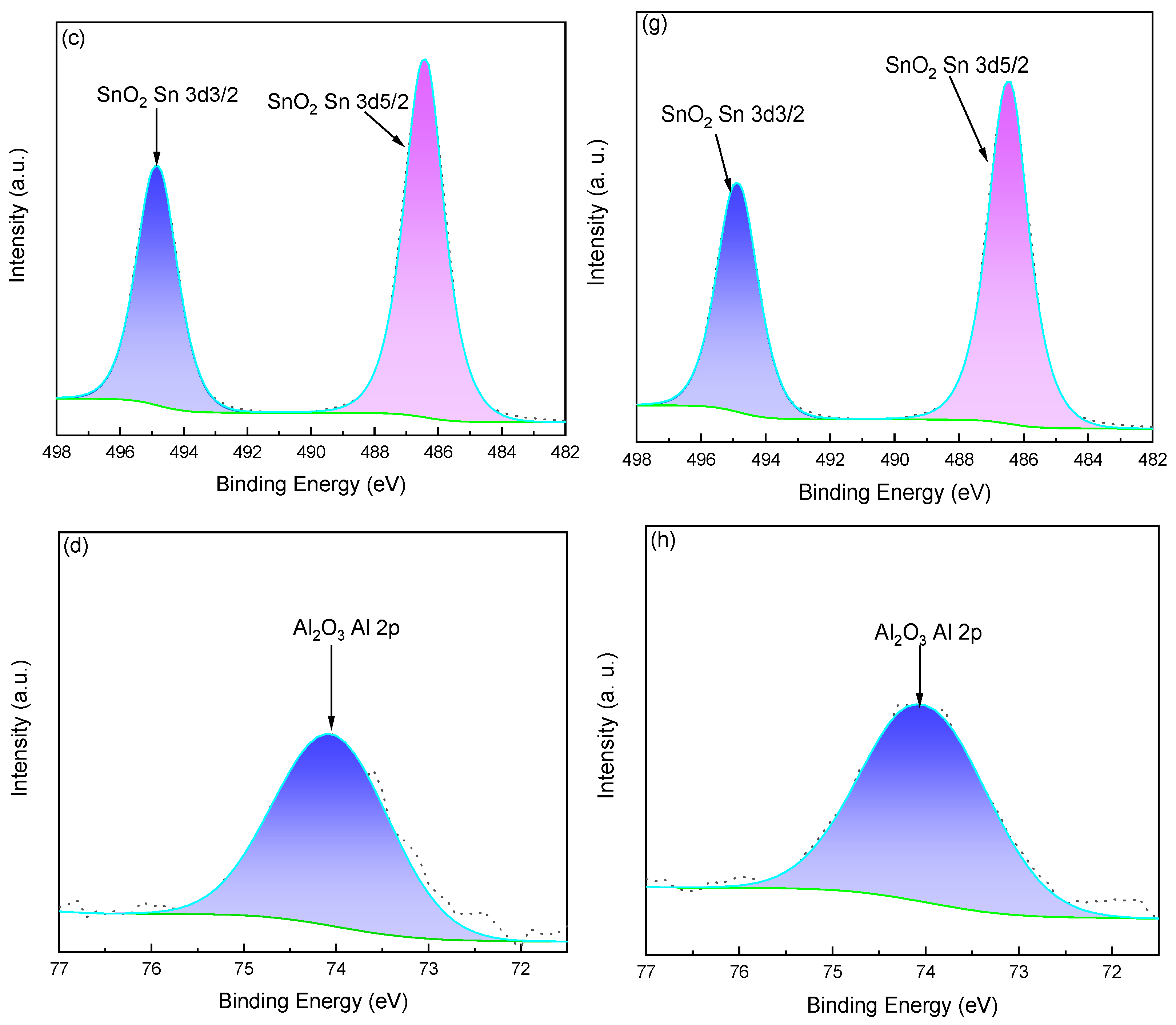Catalysts 15 00255 g007b