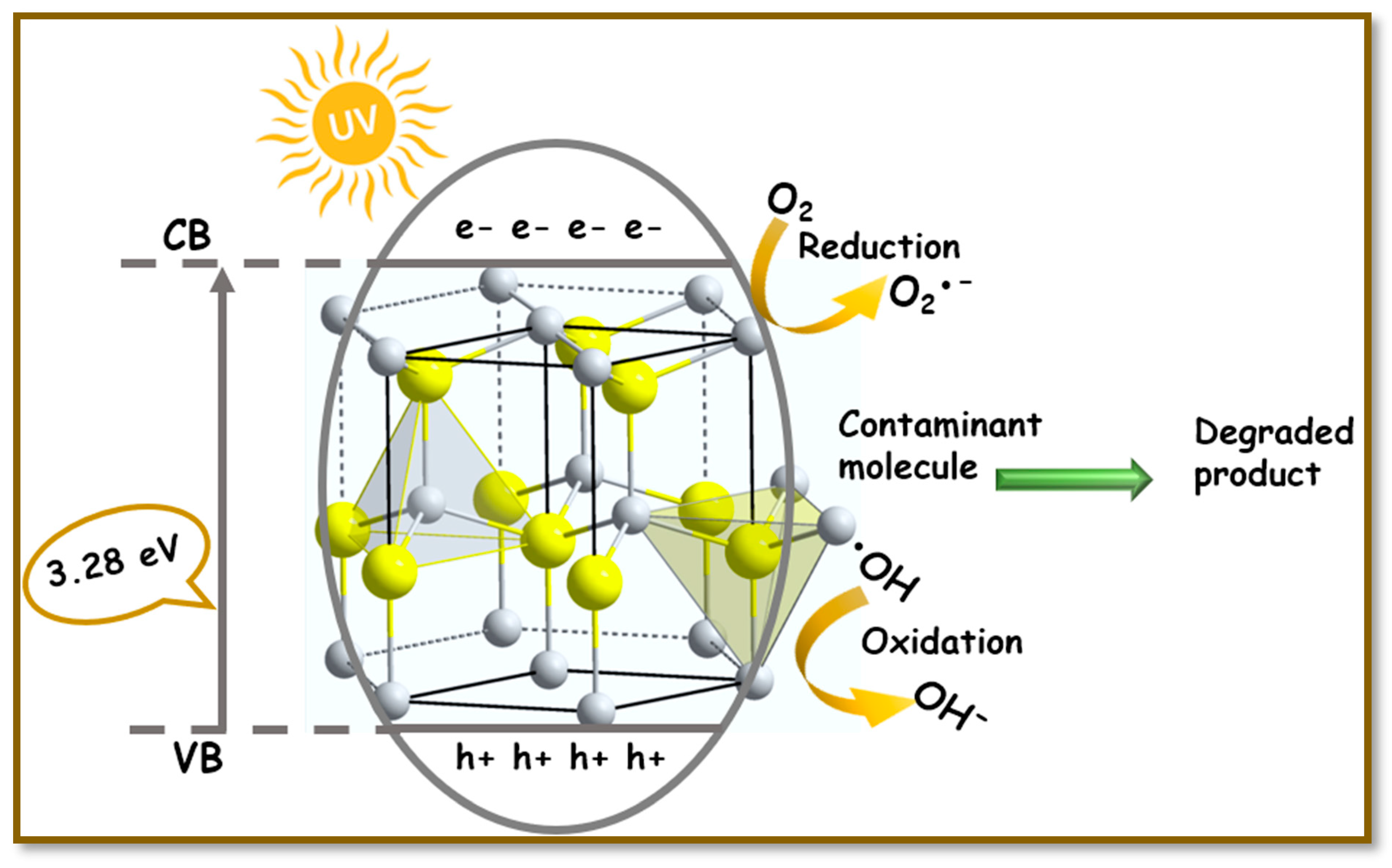 Catalysts 15 00256 g012