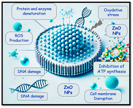 A comprehensive study of binder polymer for supercapattery