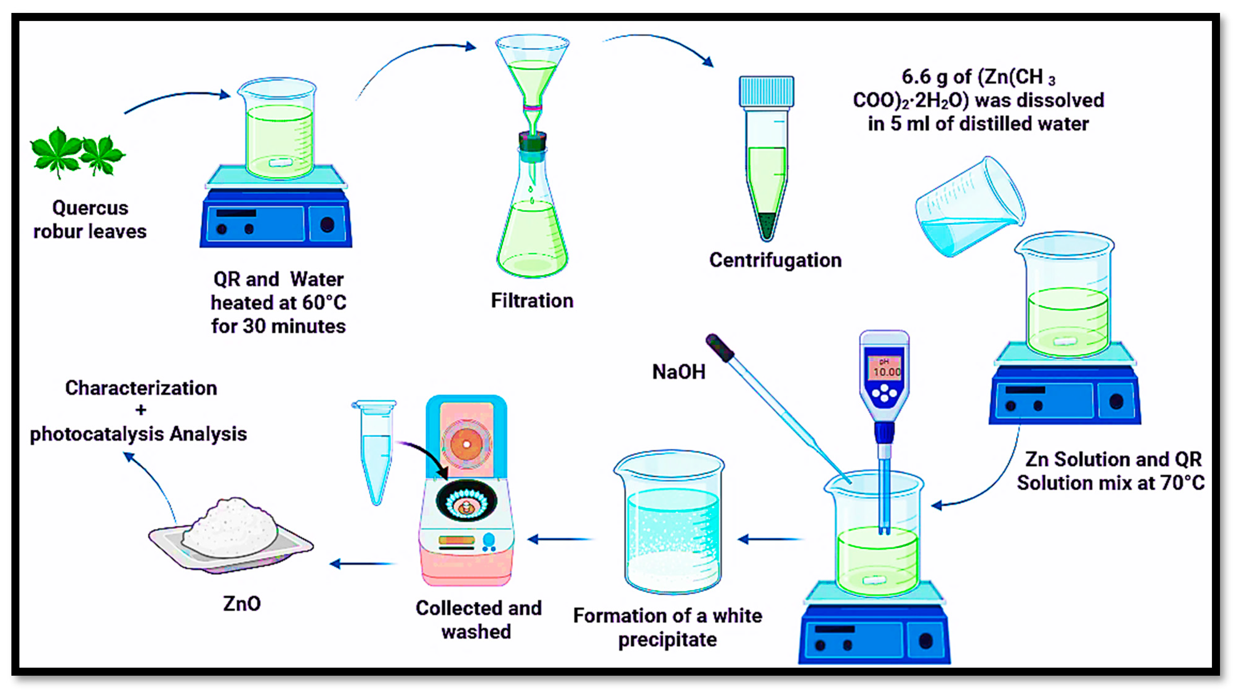 Catalysts 15 00256 g014