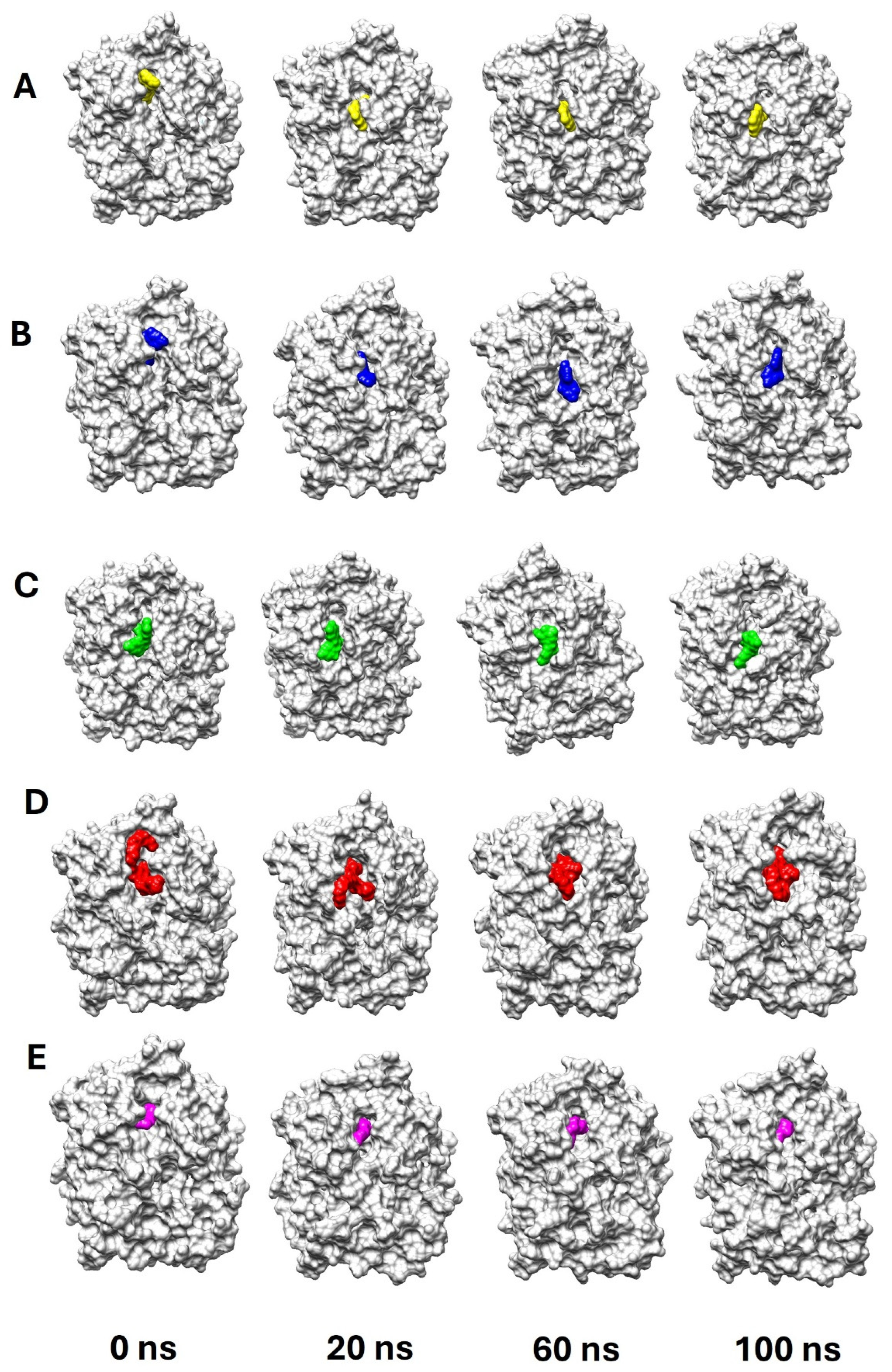 Catalysts 15 00257 g005