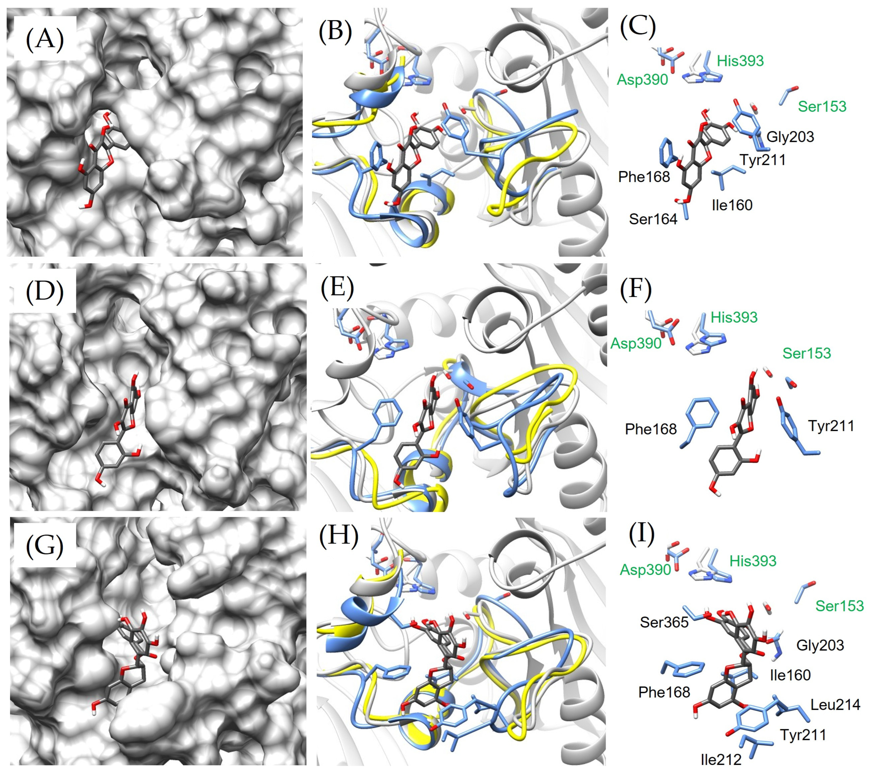Catalysts 15 00257 g006