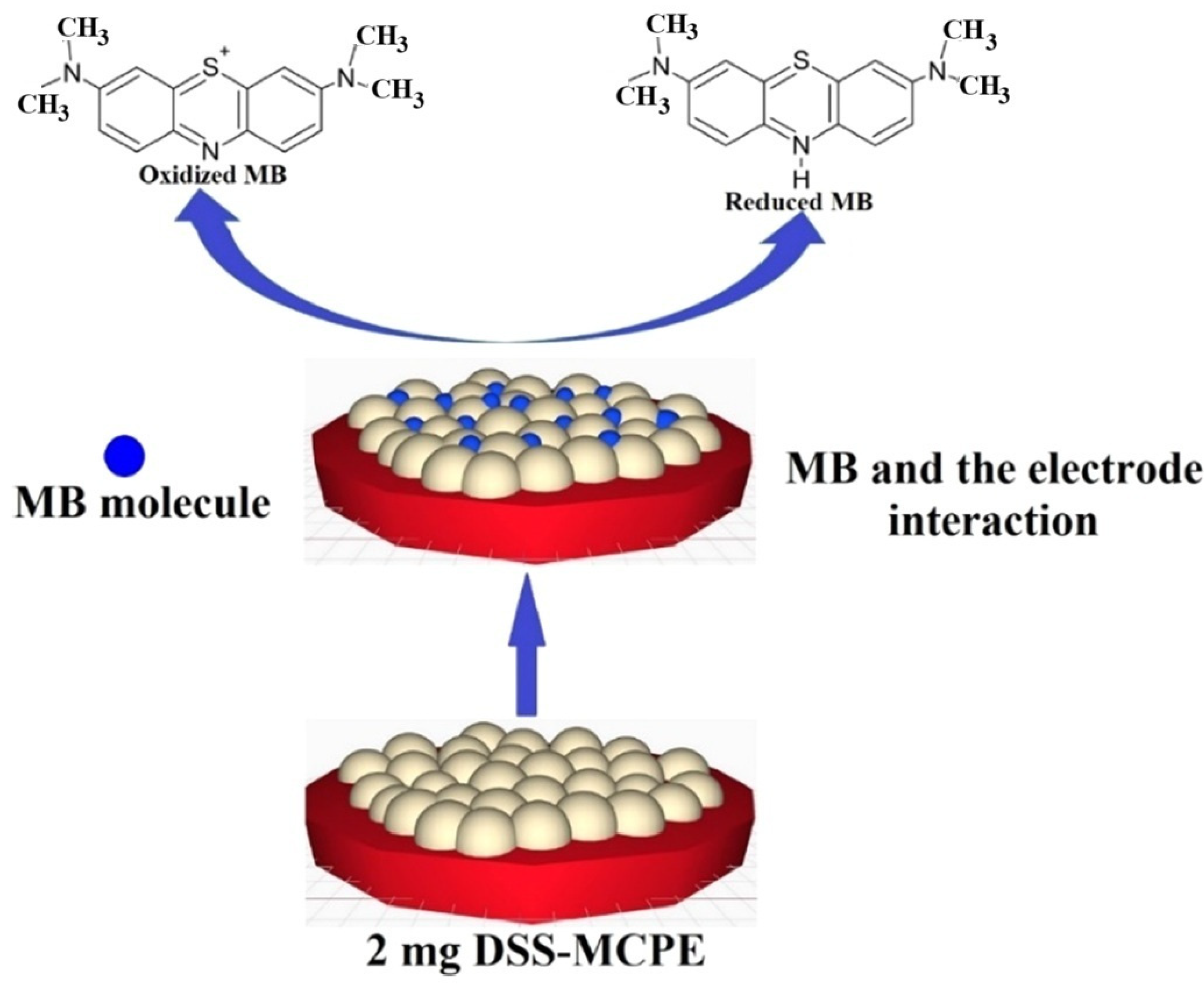 Catalysts 15 00259 g013