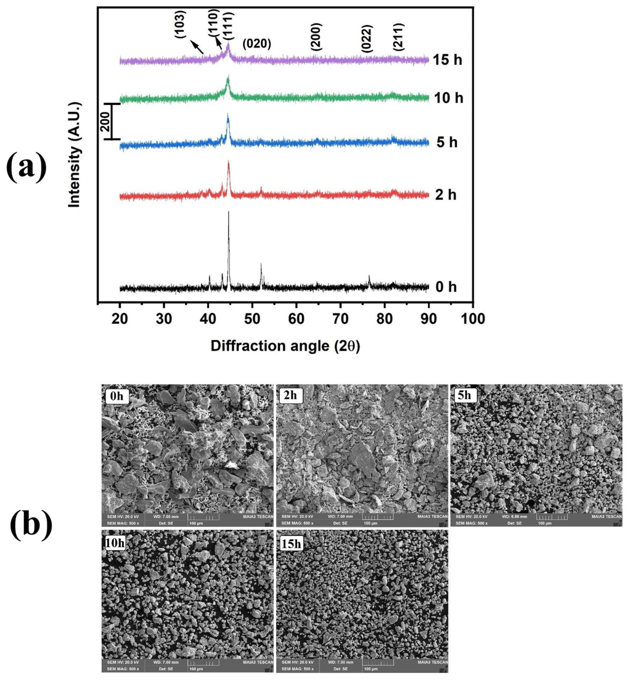 Catalysts 15 00259 g021