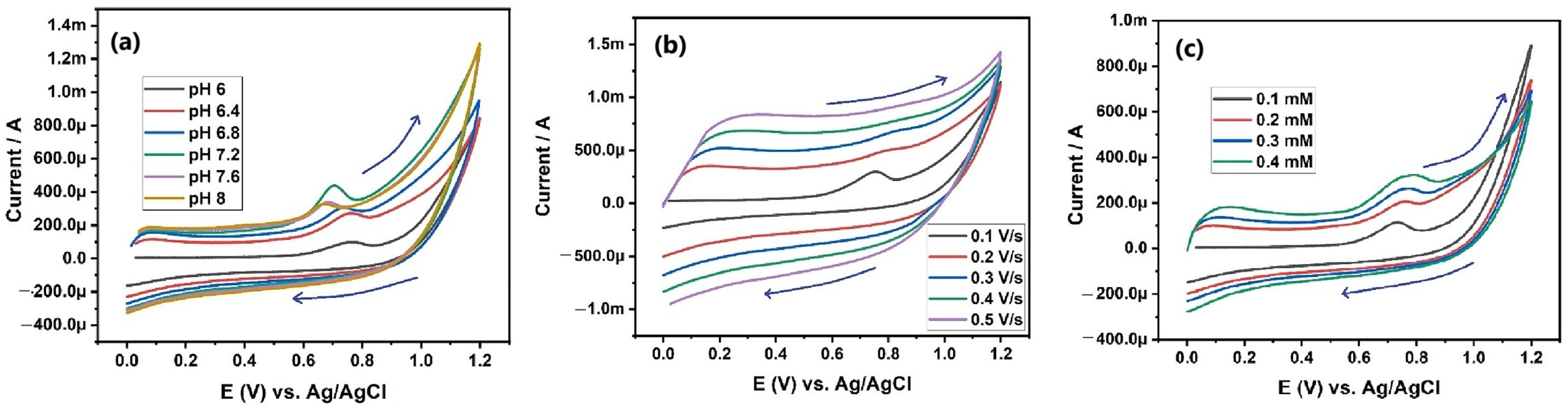 Catalysts 15 00259 g026