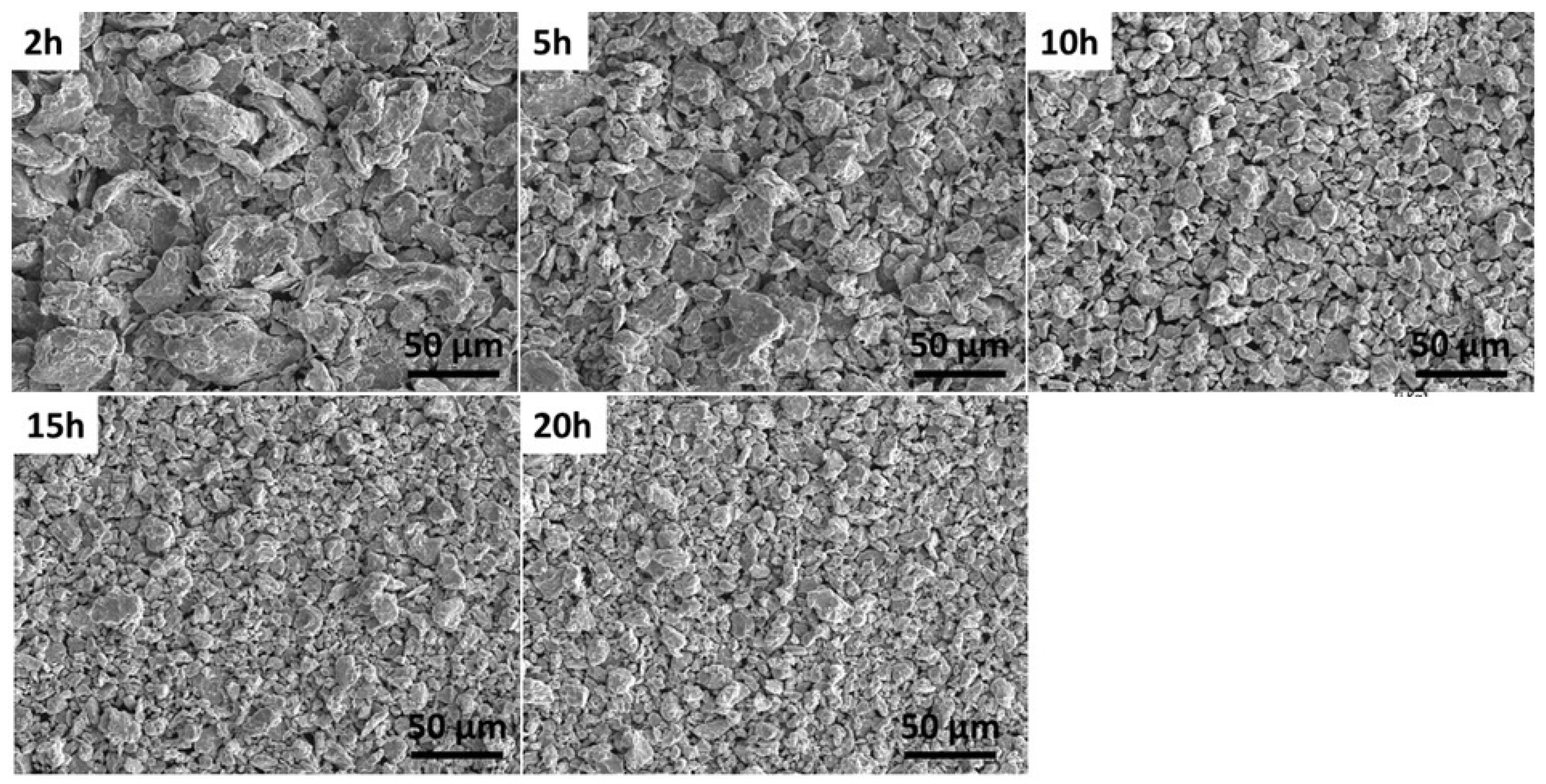 Catalysts 15 00259 g032