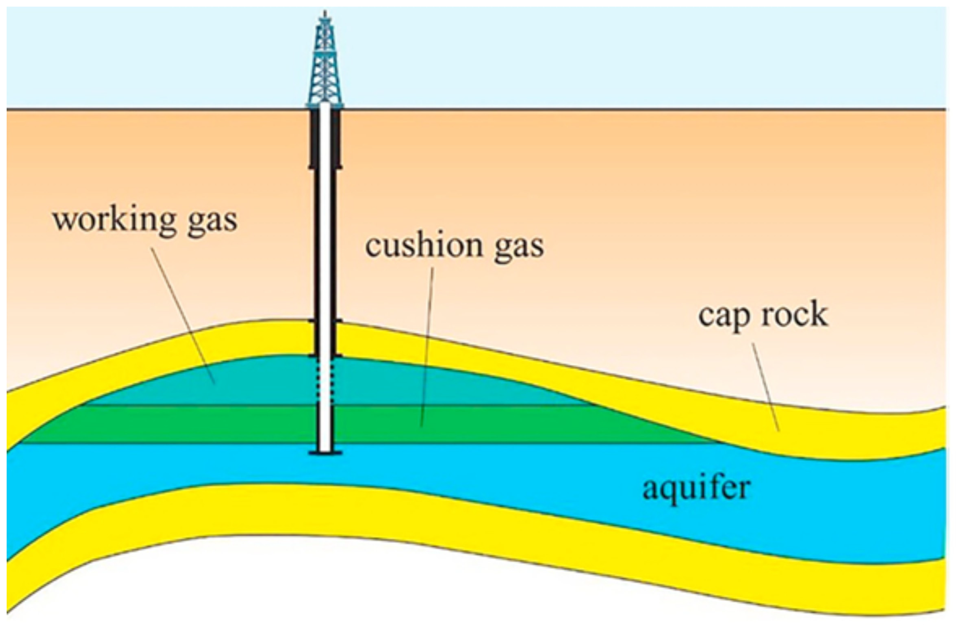 Catalysts 15 00260 g016