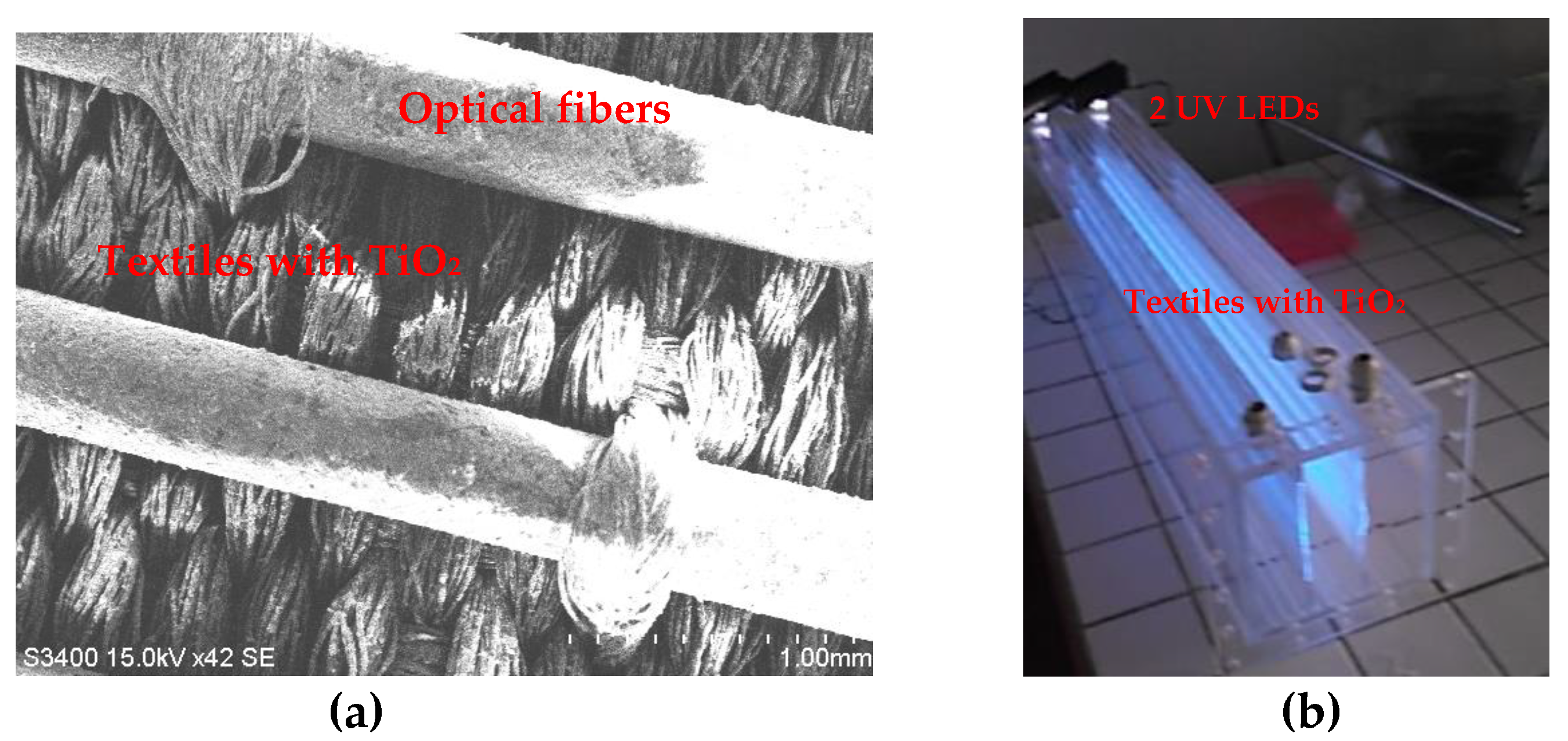 Catalysts 15 00262 g008