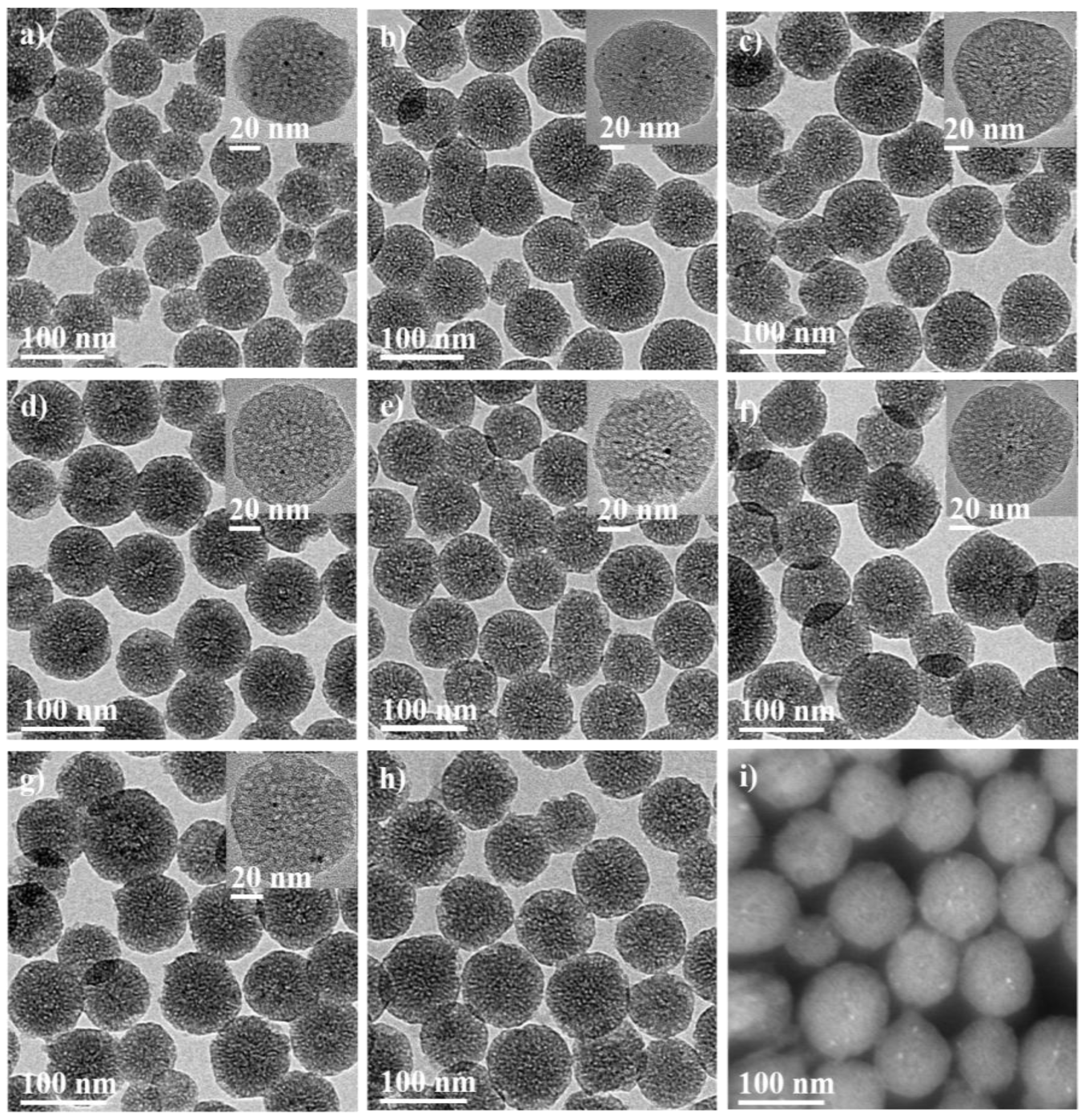 Catalysts 15 00263 g001
