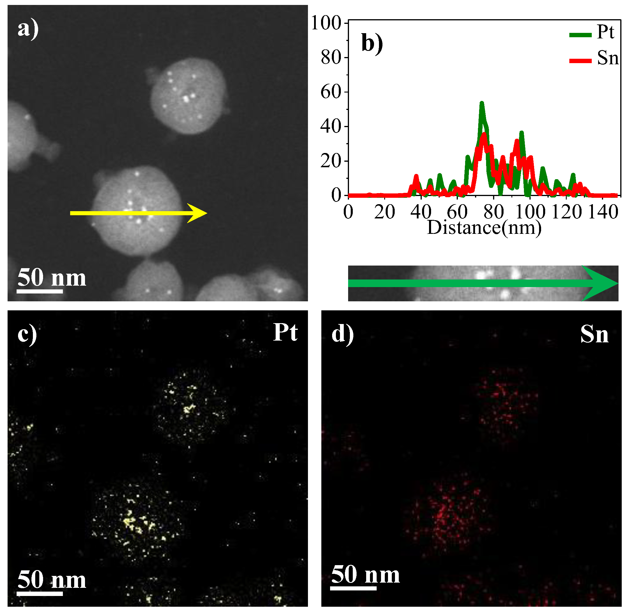 Catalysts 15 00263 g003