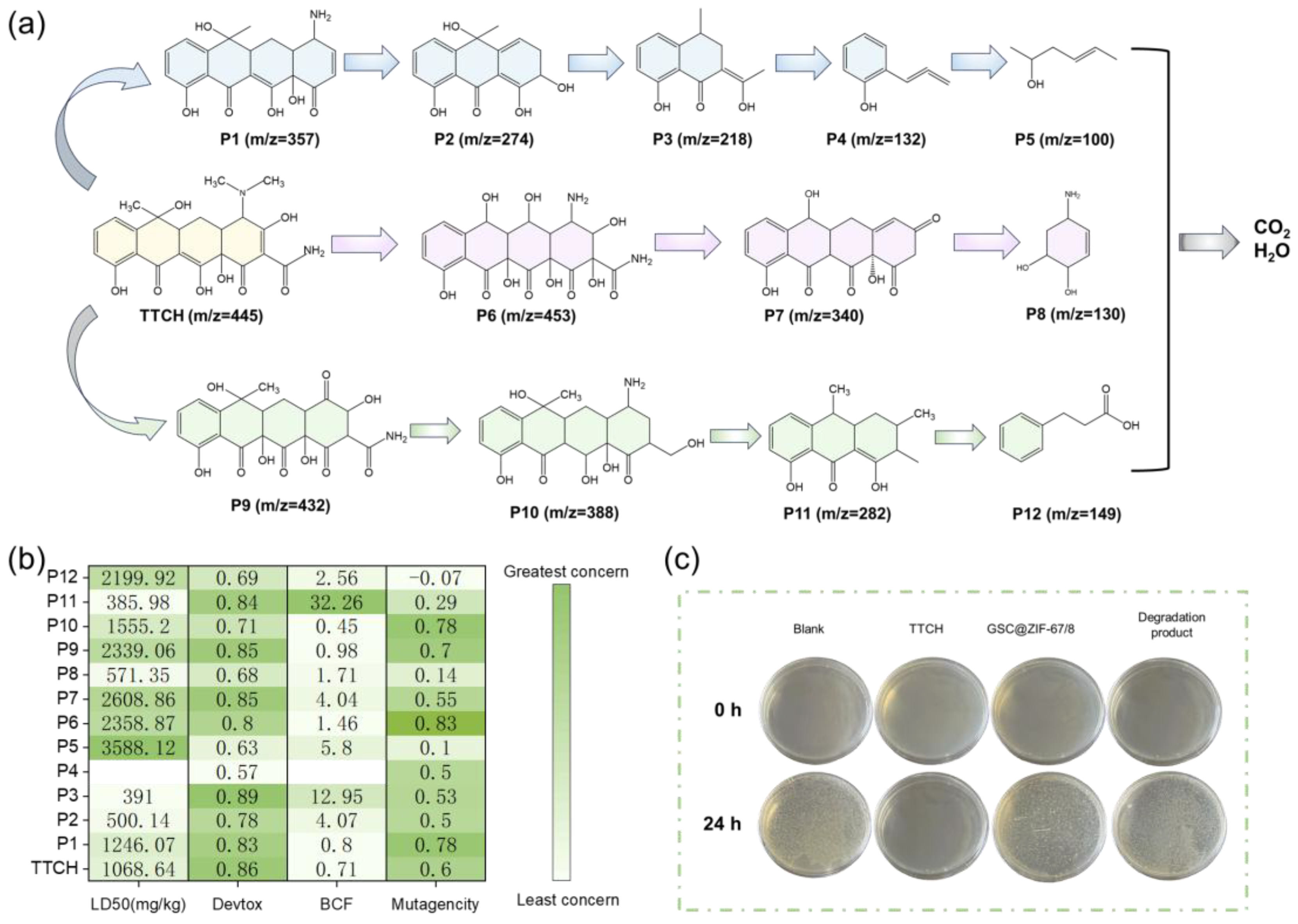 Catalysts 15 00264 g010