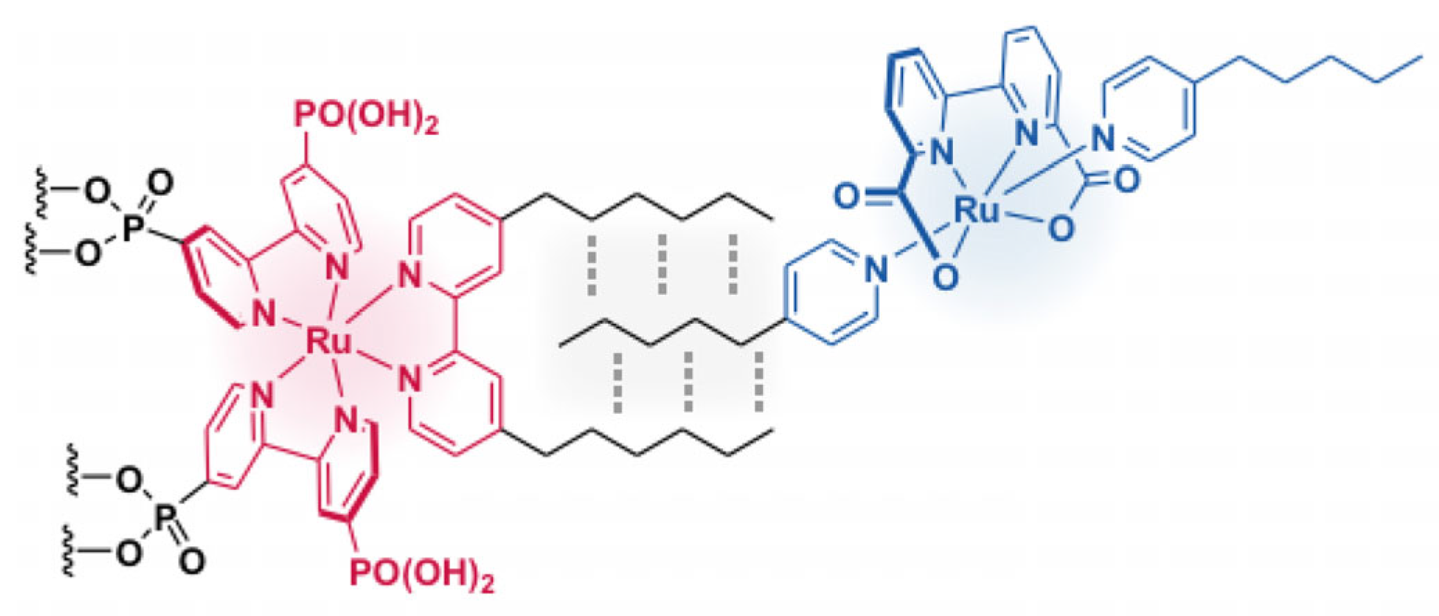 Catalysts 15 00265 g001