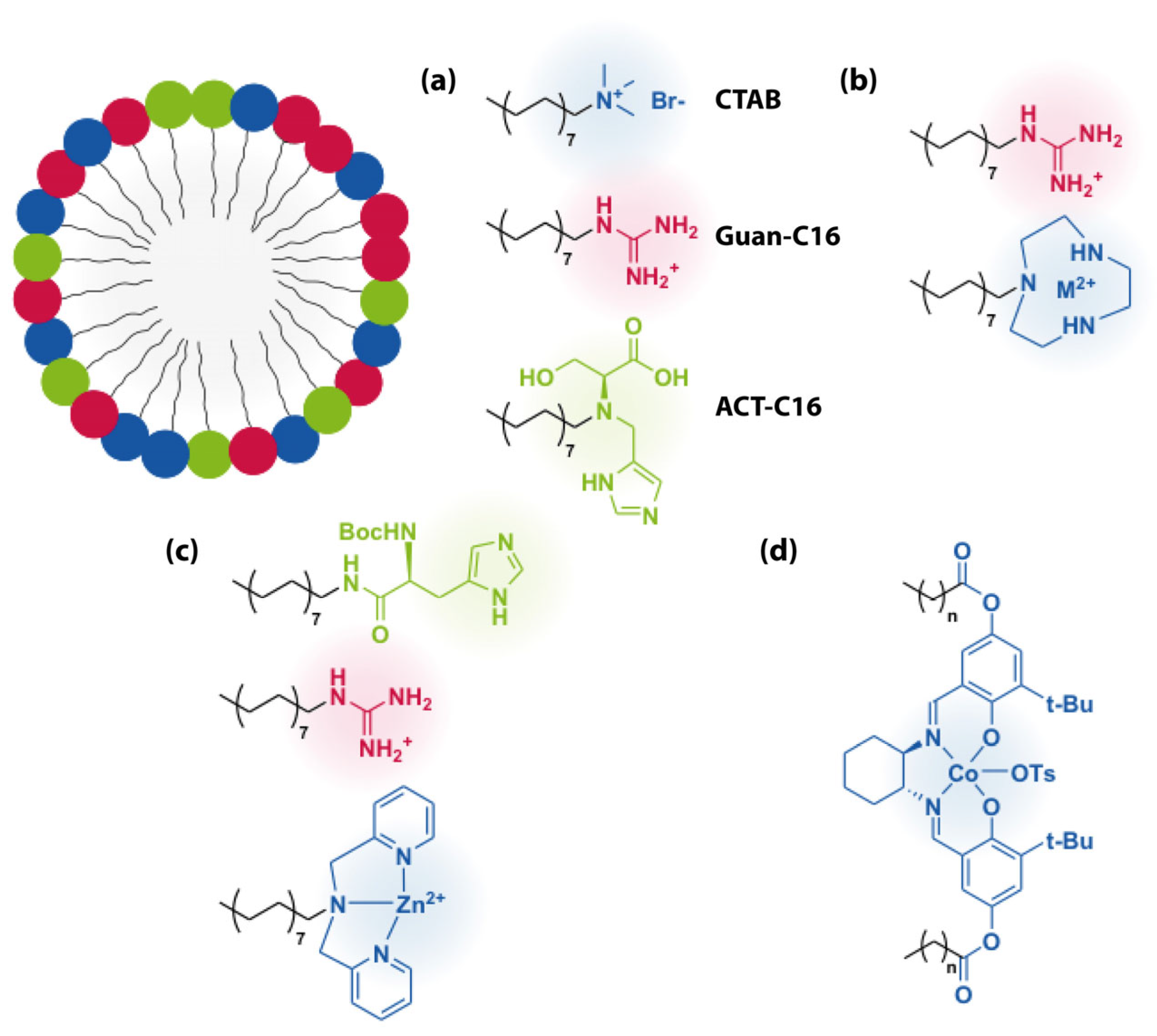 Catalysts 15 00265 g002