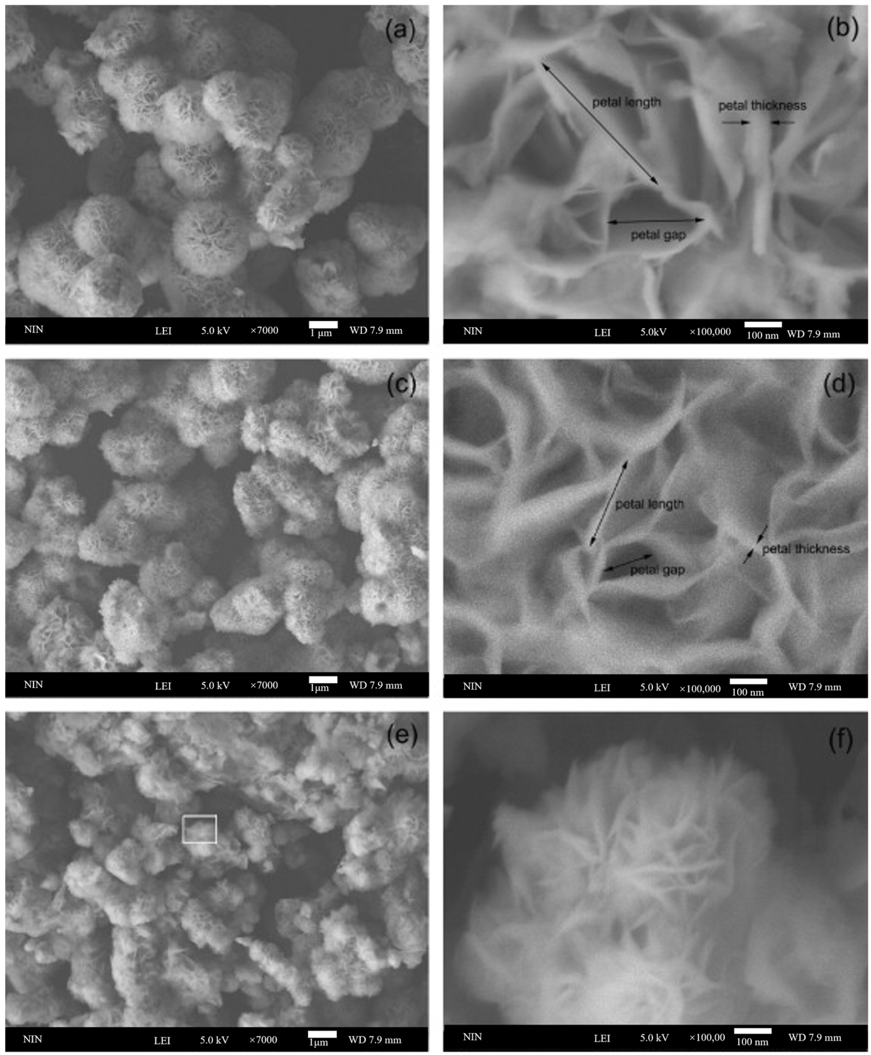 Catalysts 15 00271 g003