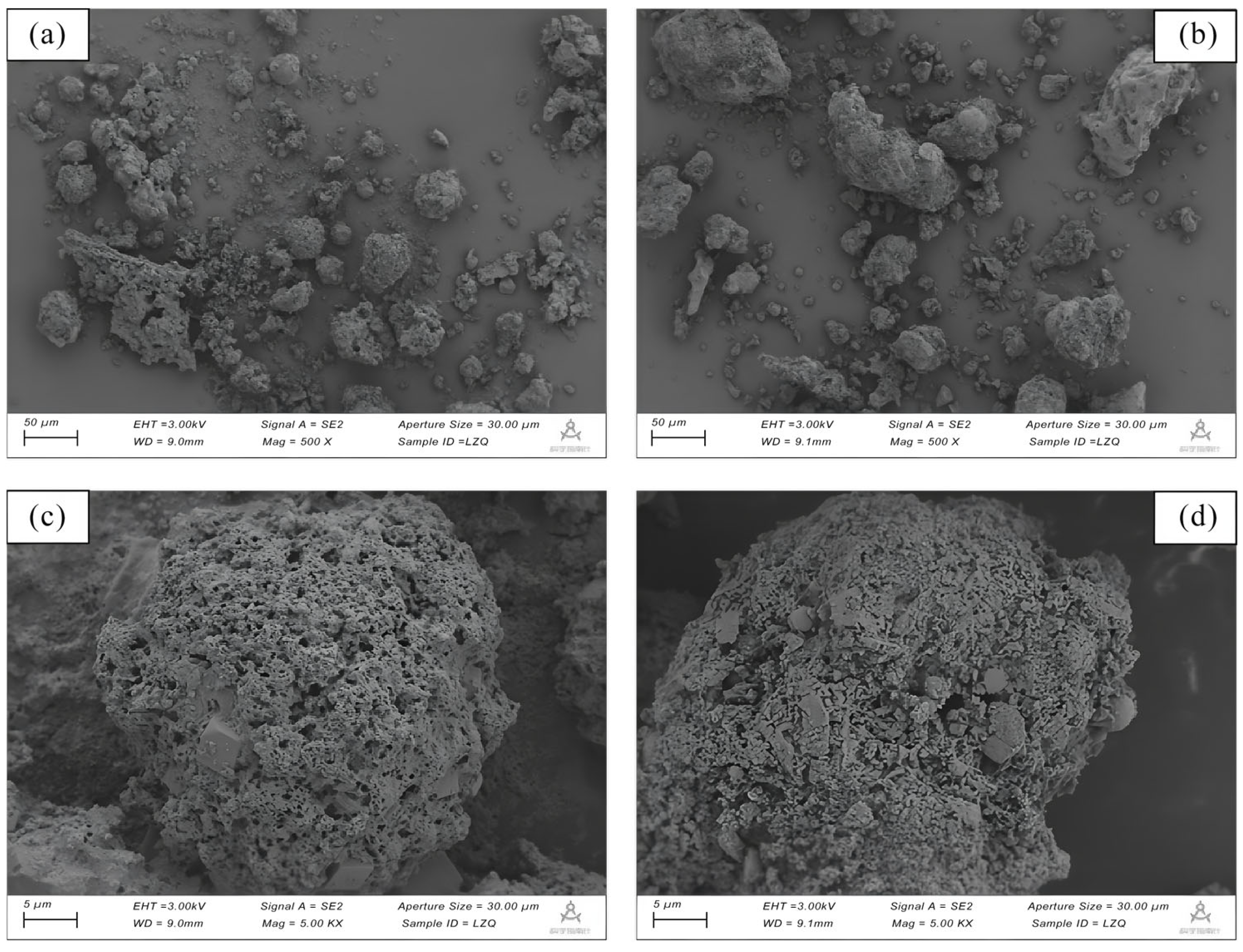 Catalysts 15 00274 g001