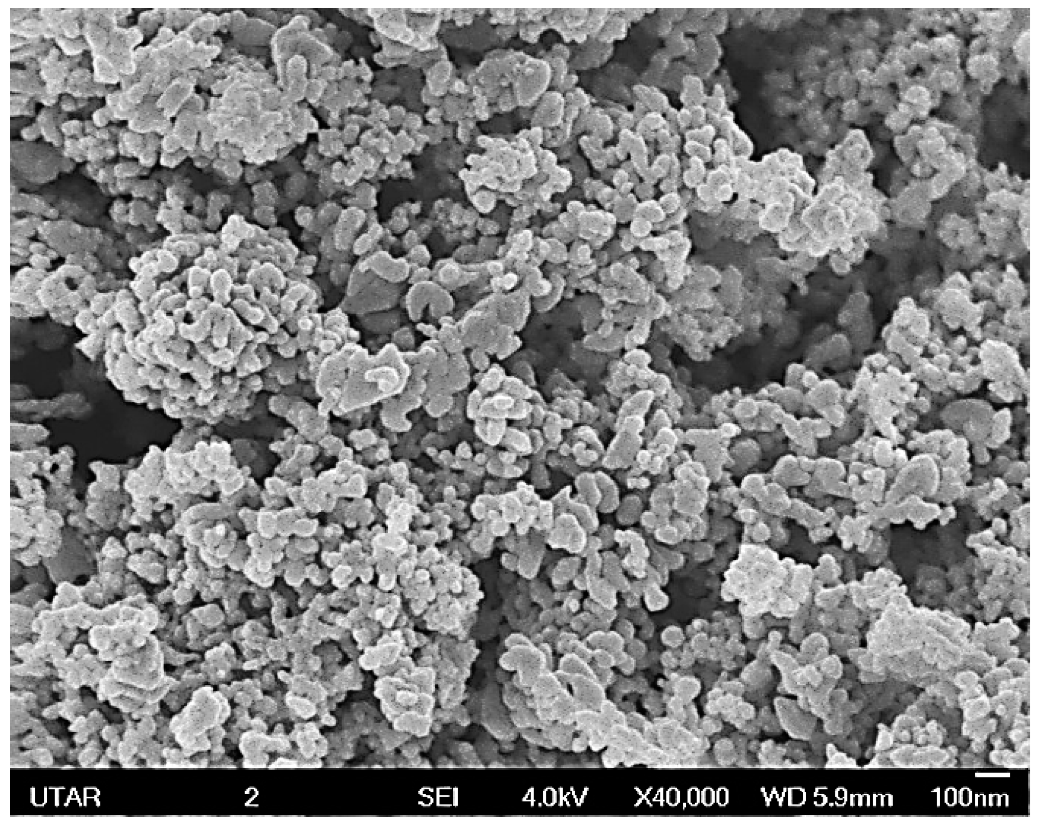 Catalysts 15 00275 g004