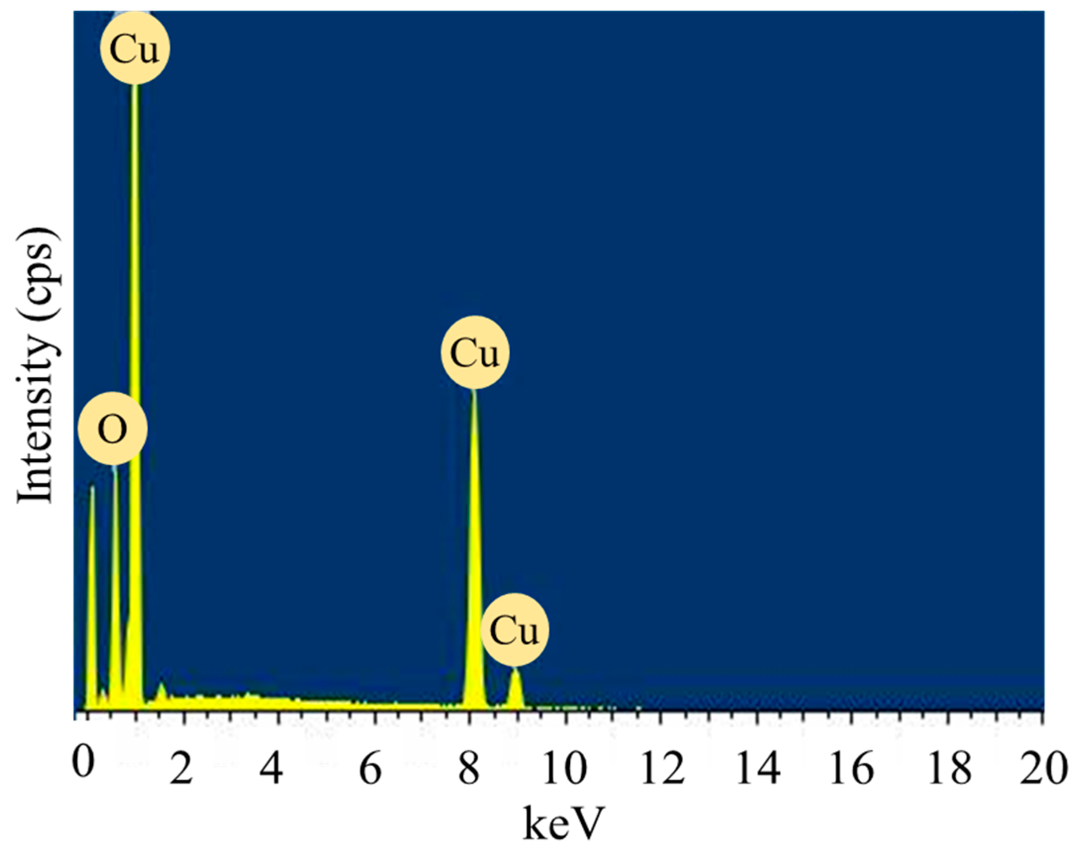 Catalysts 15 00275 g007