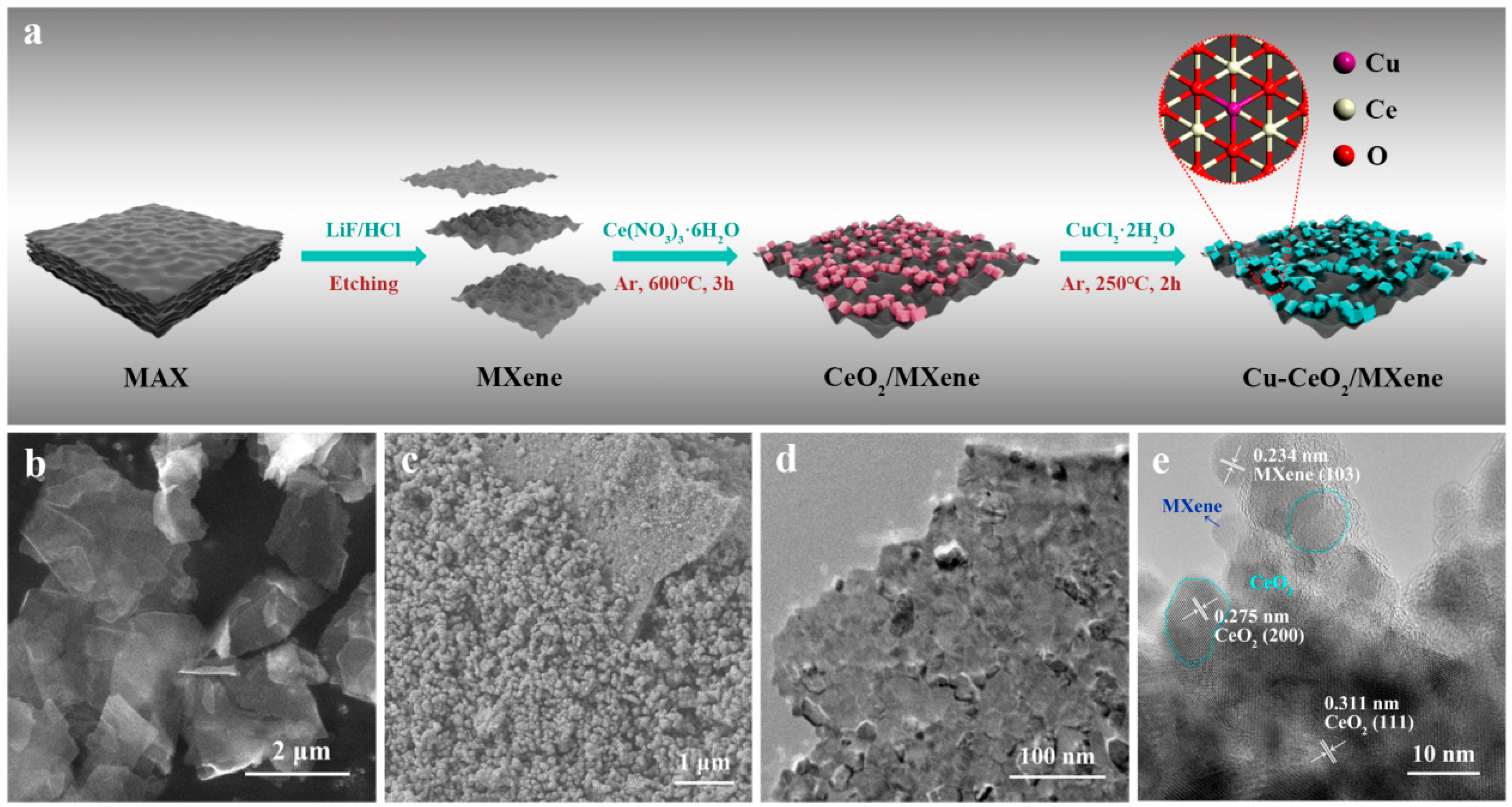 Catalysts 15 00276 g001
