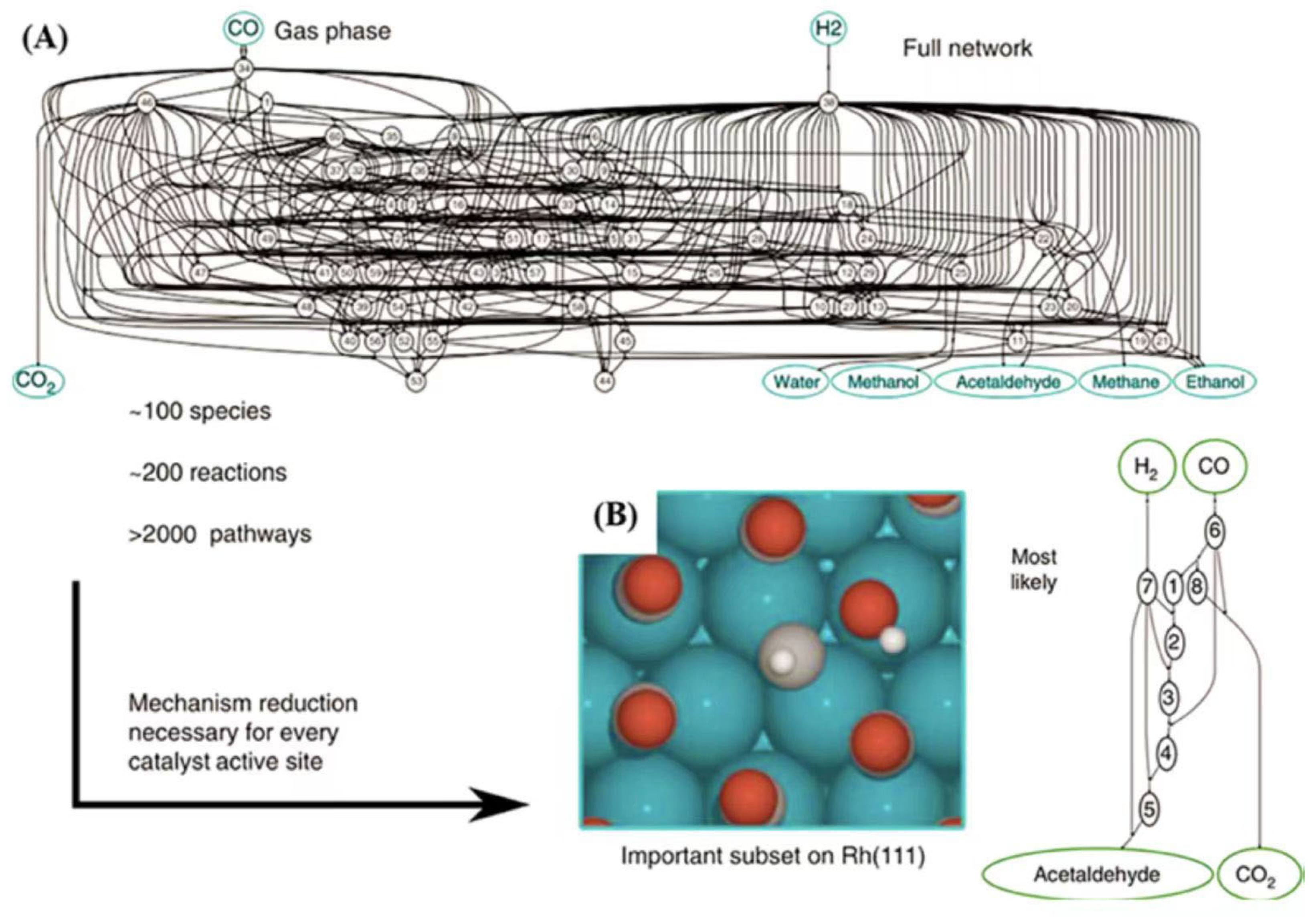 Catalysts 15 00282 g008