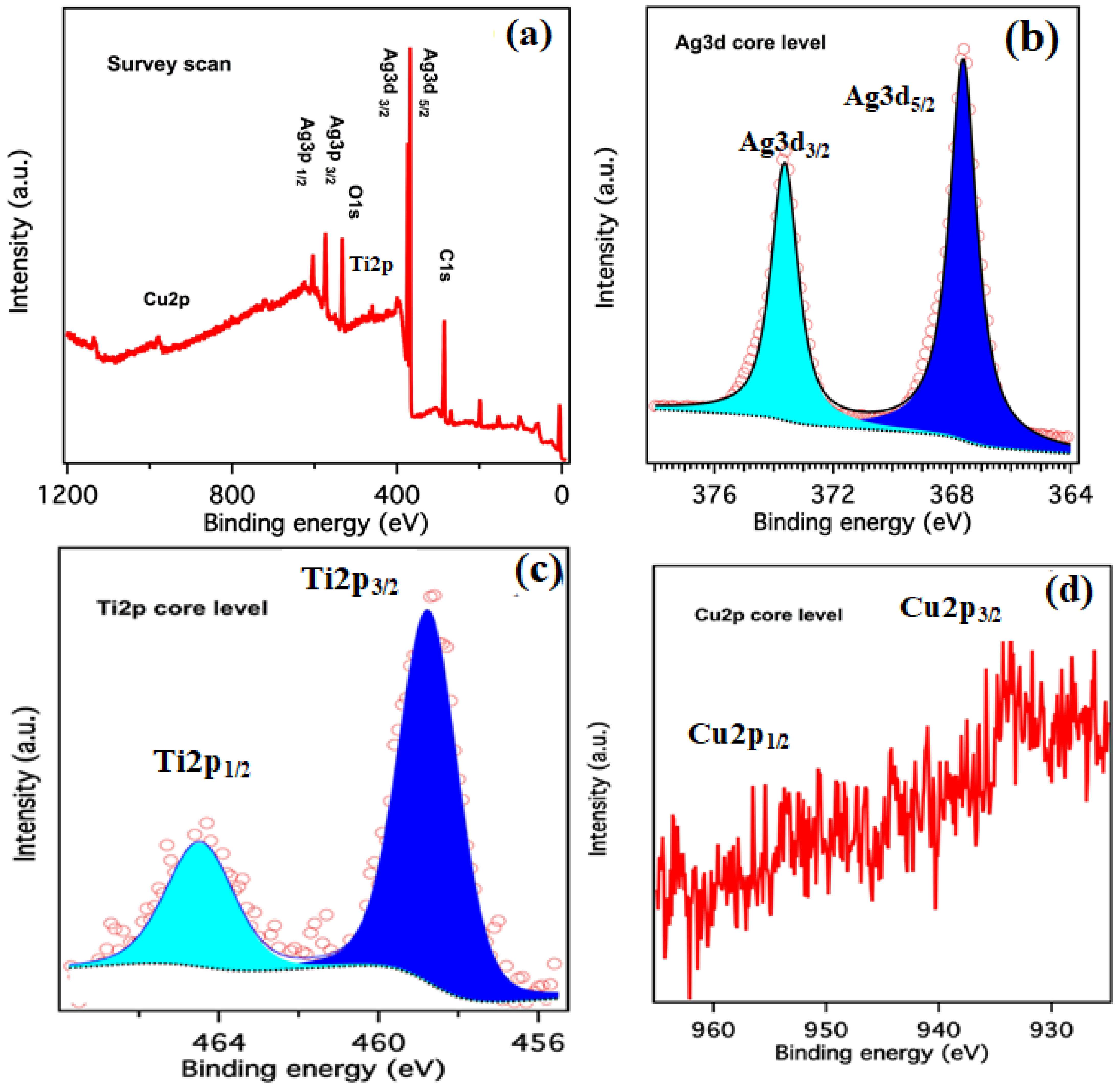 Catalysts 15 00283 g003a