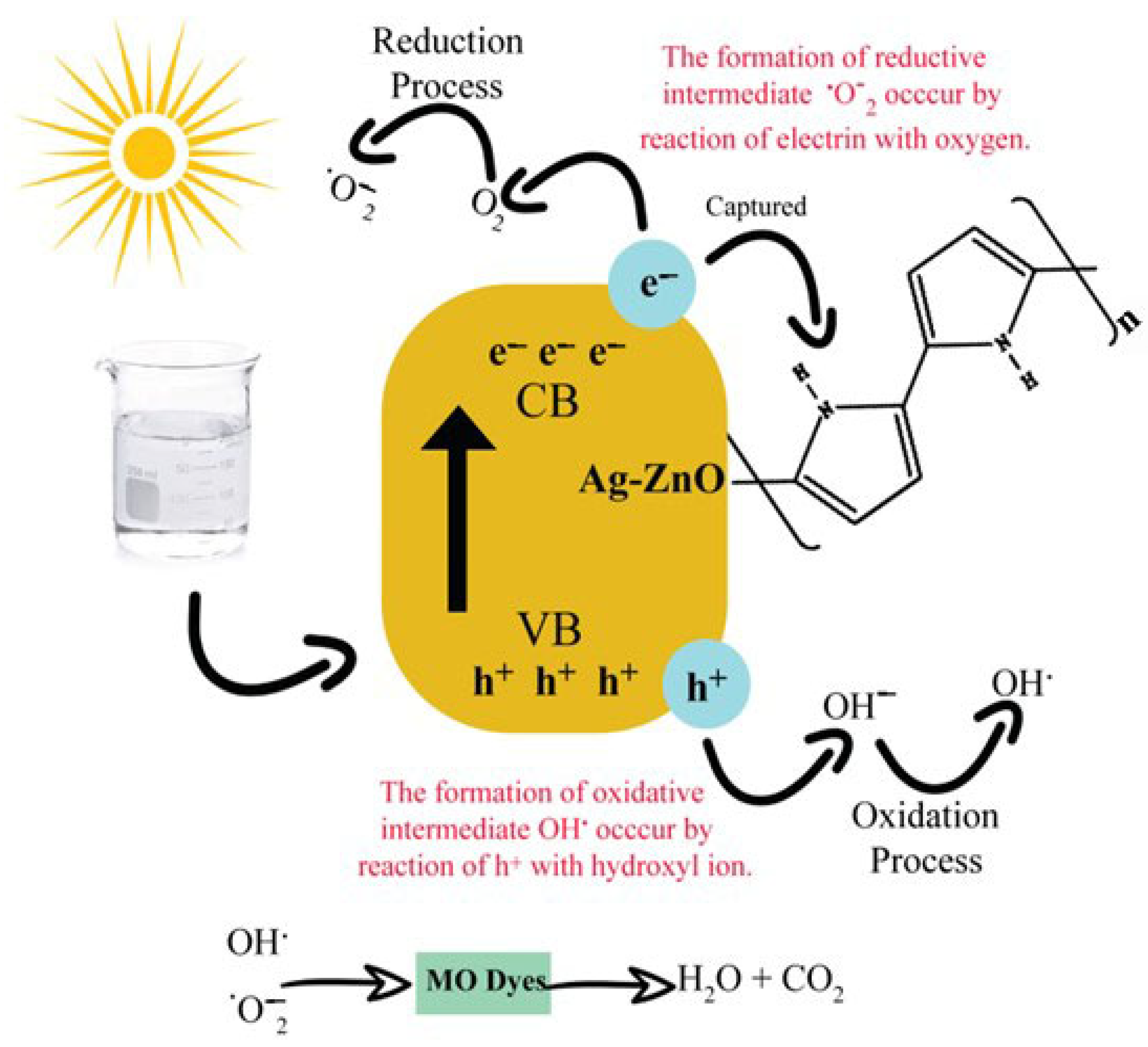 Catalysts 15 00284 g010